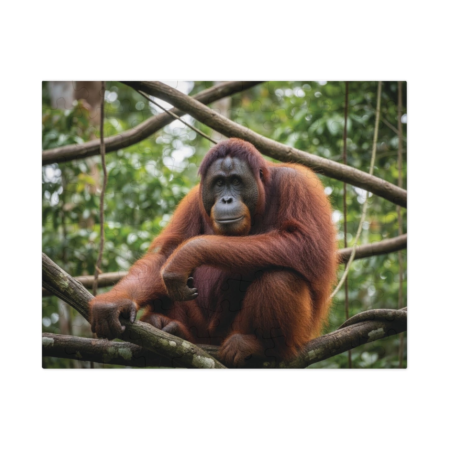 Orangutan Rainforest Serenity Jigsaw Puzzle | Majestic Wildlife Jungle Nature Scene