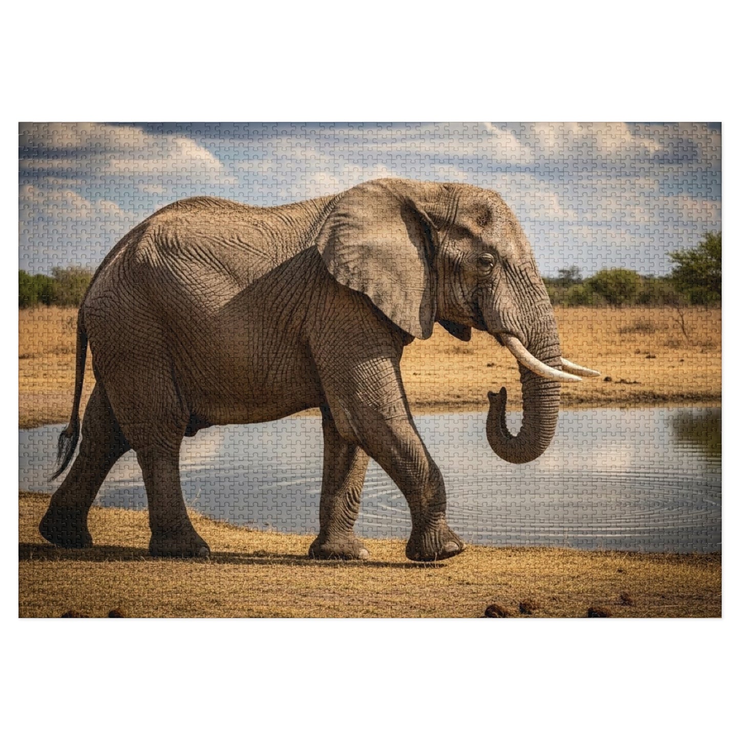 African Elephant at Waterhole Jigsaw Puzzle