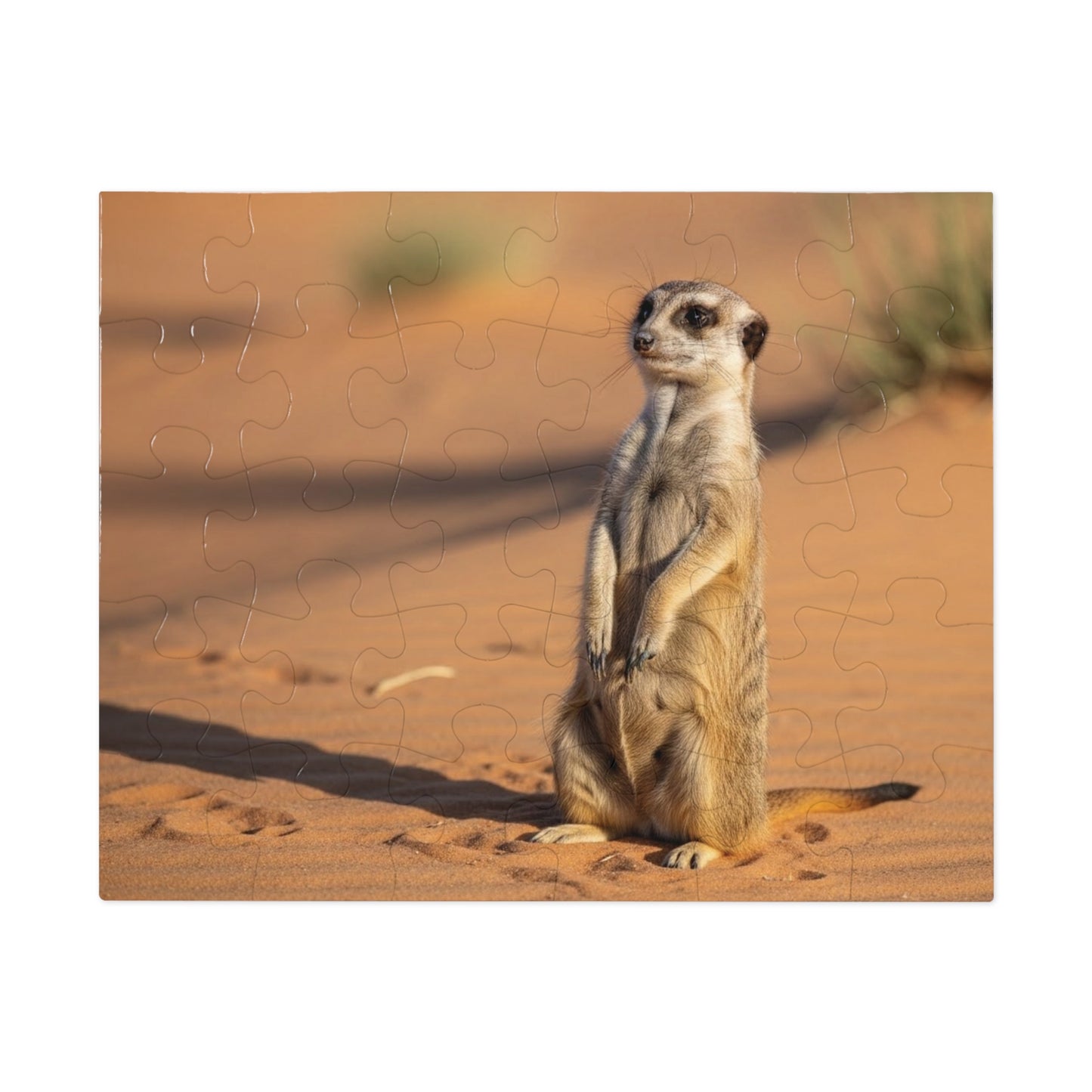 Meerkat Jigsaw Puzzle