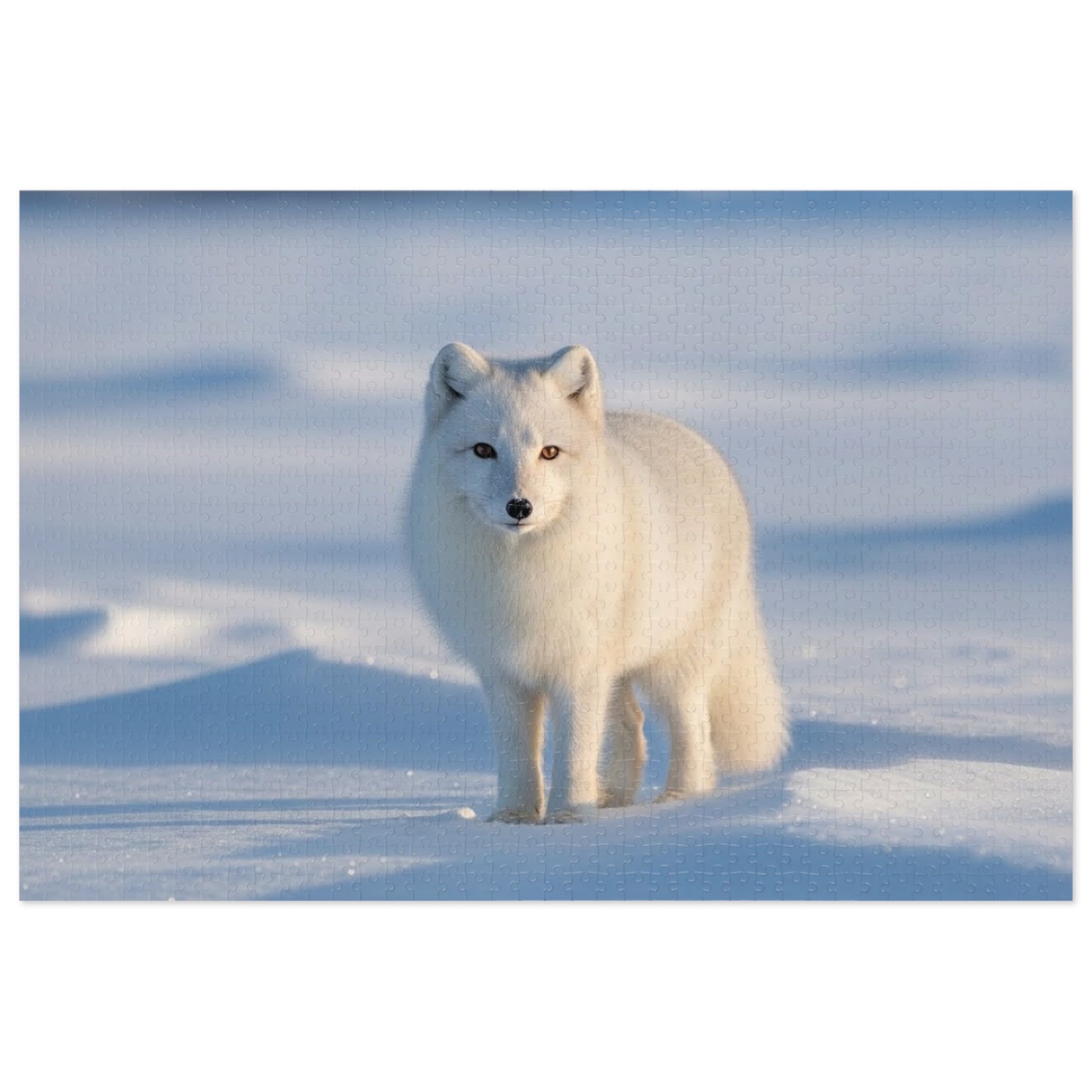 Arctic Fox Jigsaw Puzzle