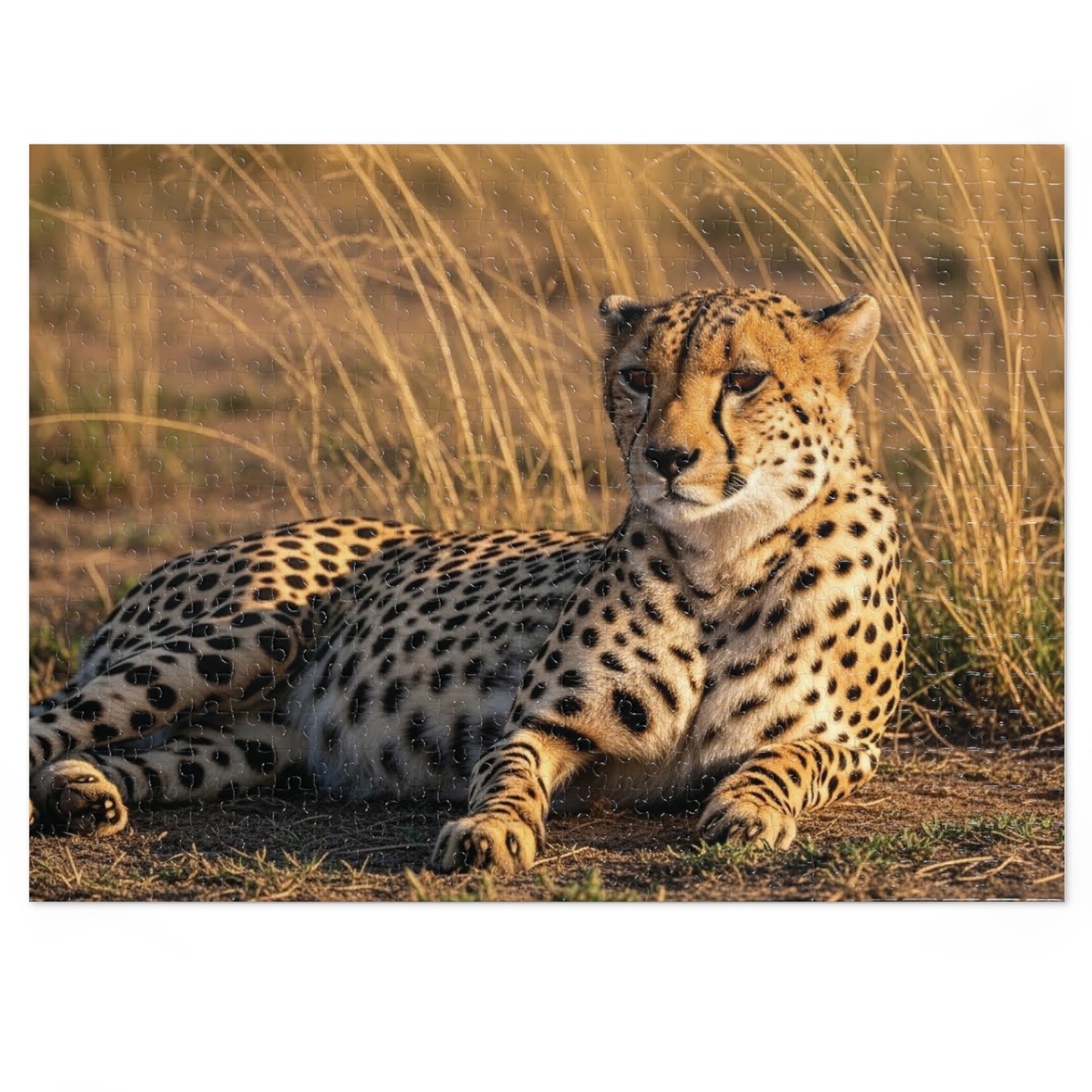Cheetah Savannah Jigsaw Puzzle
