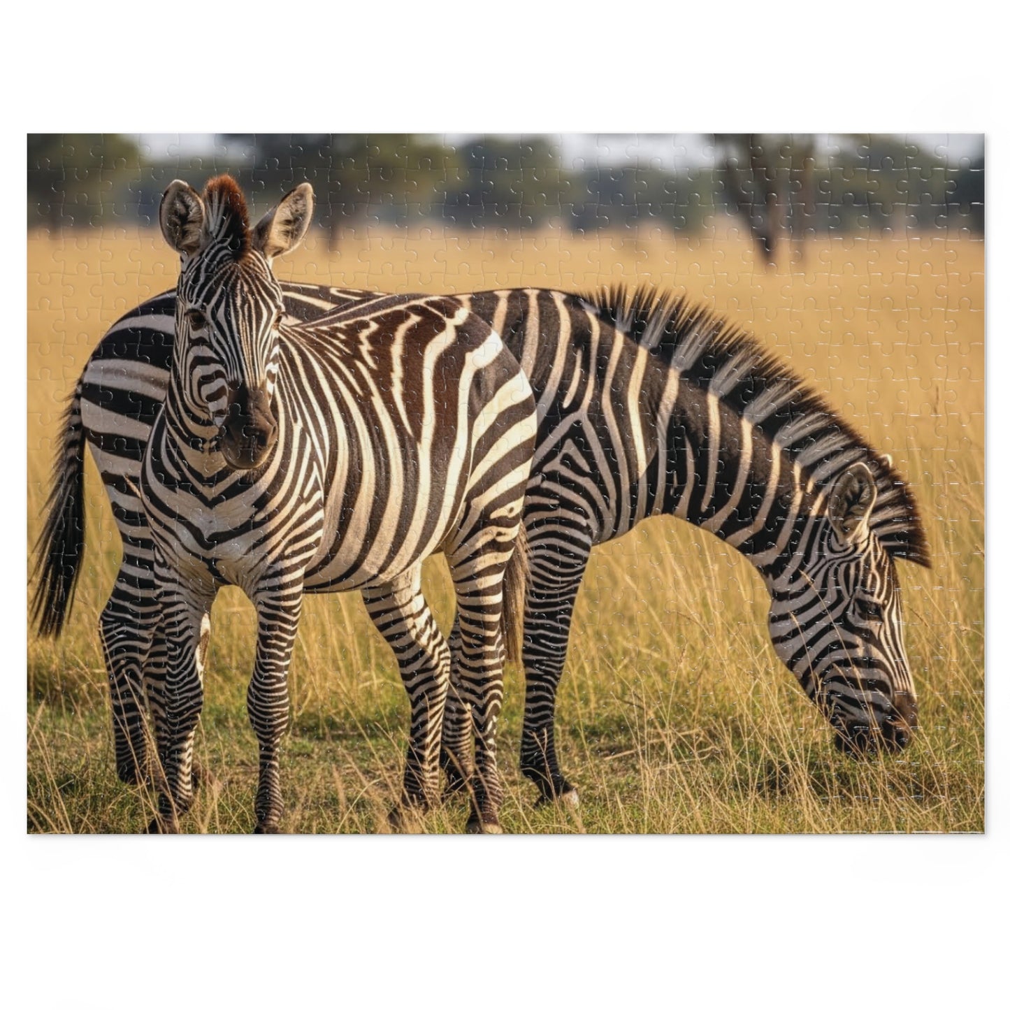 Zebra Savannah Jigsaw Puzzle African Wildlife Nature Grassland Art