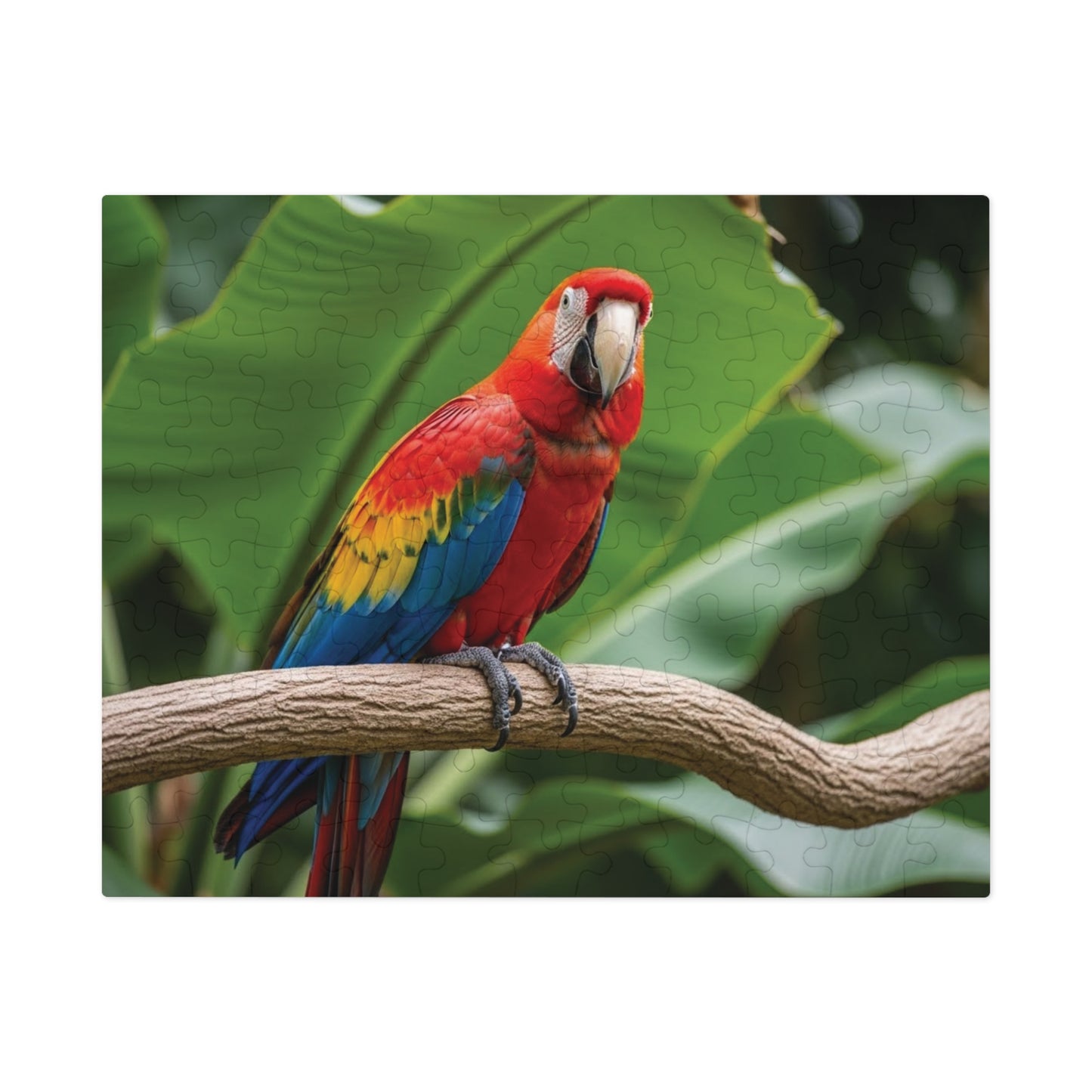 Macaw Parrot Jigsaw Puzzle
