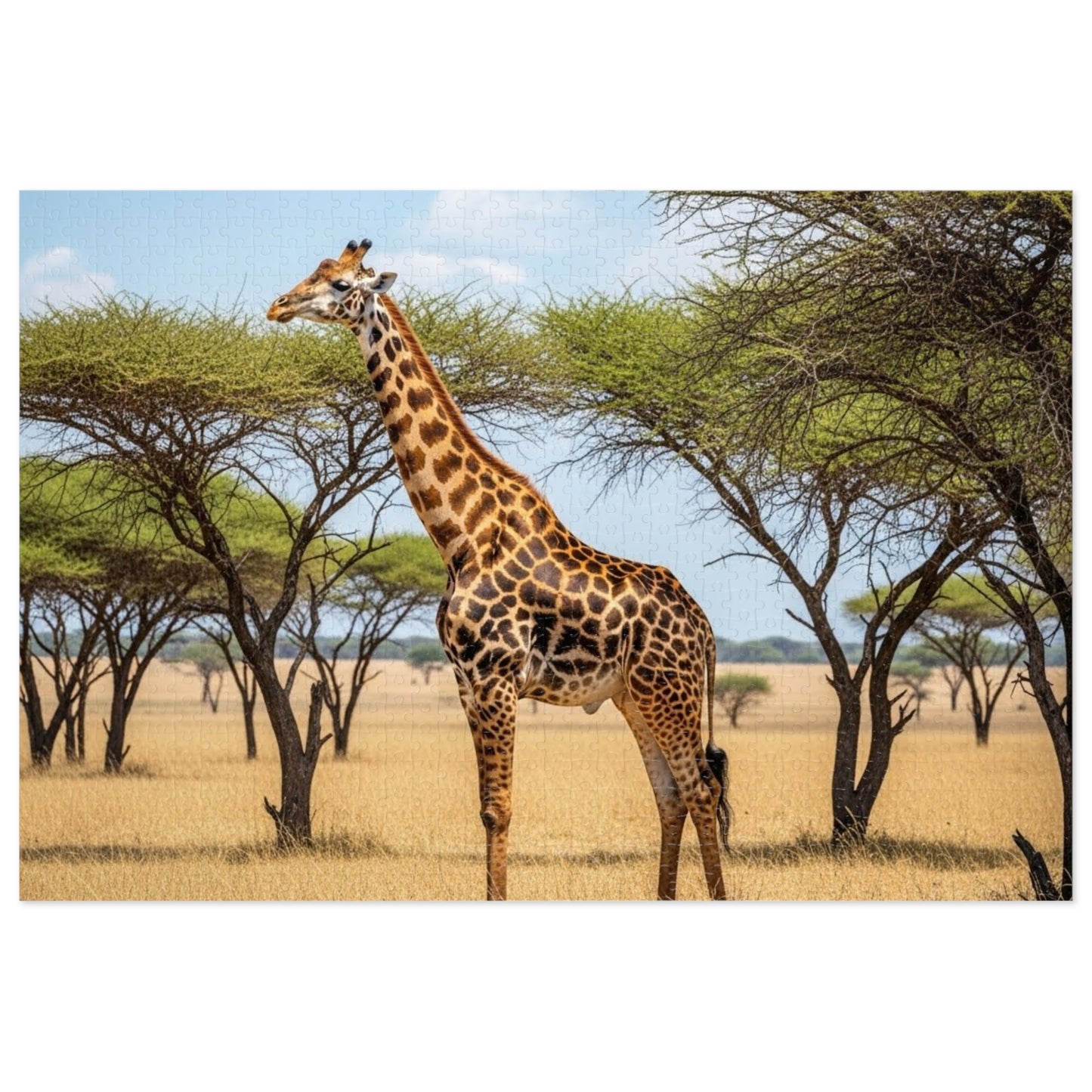 Giraffe Savannah Jigsaw Puzzle