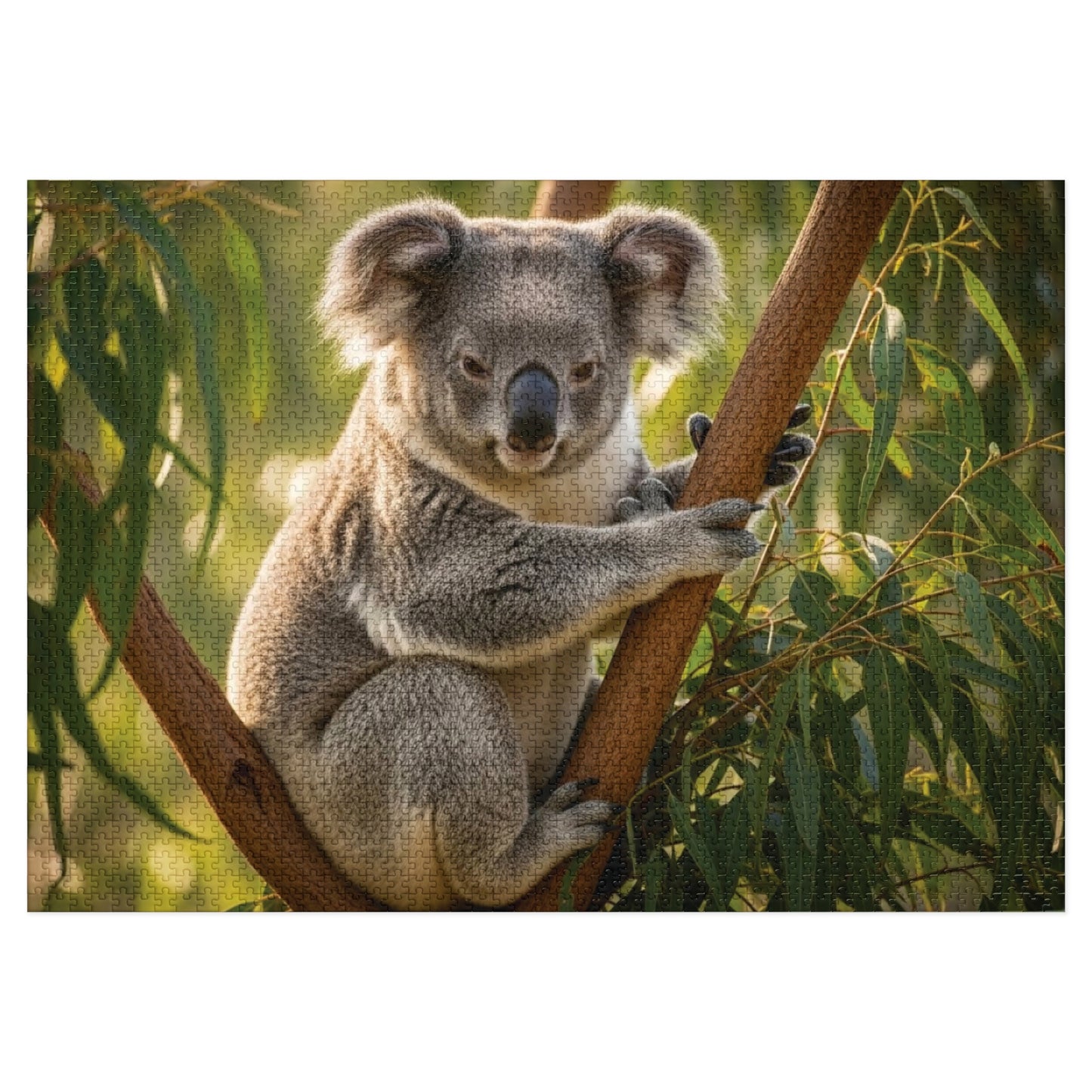 Koala Jigsaw Puzzle