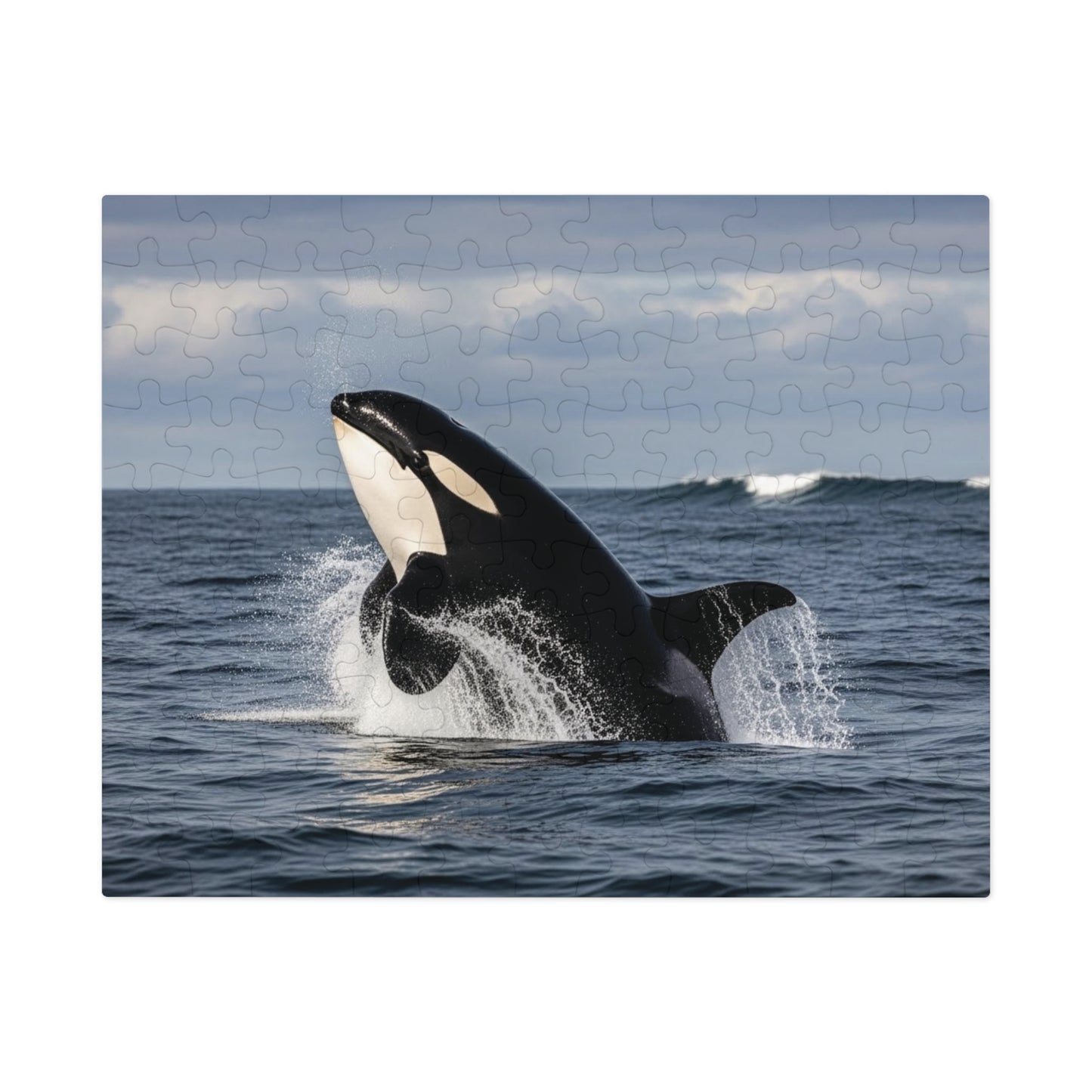 Orca Whale Jigsaw Puzzle — 500-Piece Ocean Puzzle with Tin Gift Box