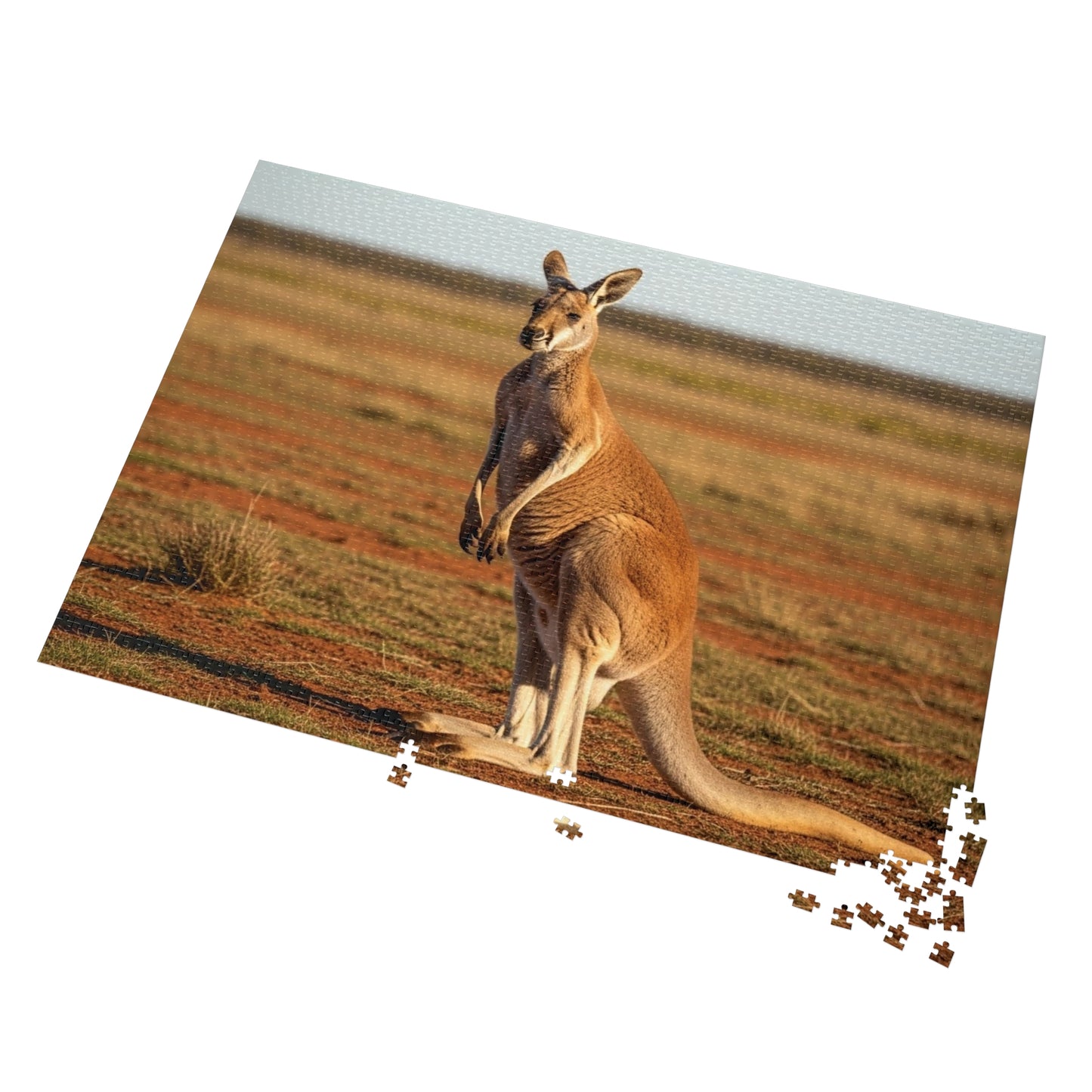 Kangaroo Jigsaw Puzzle