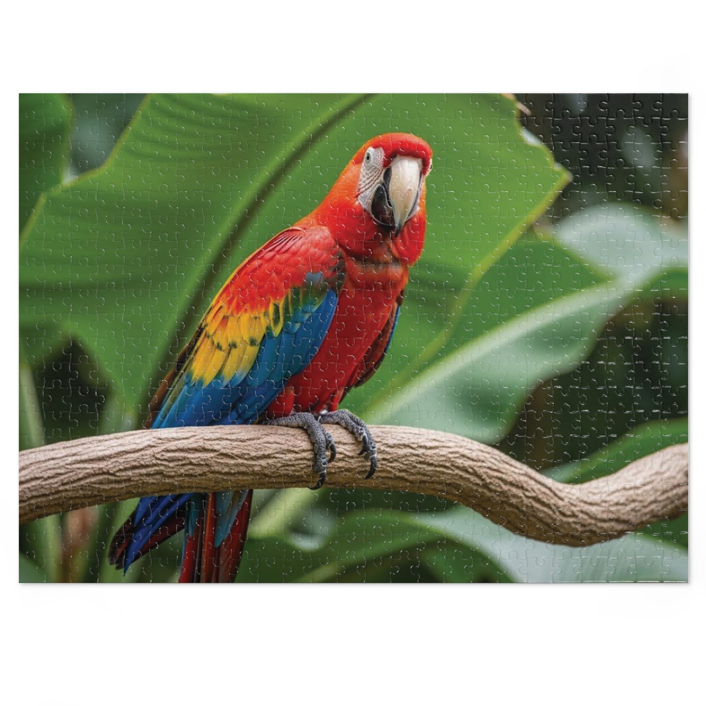 Macaw Parrot Jigsaw Puzzle