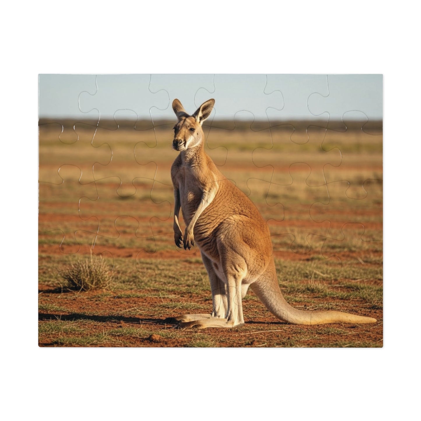 Kangaroo Jigsaw Puzzle