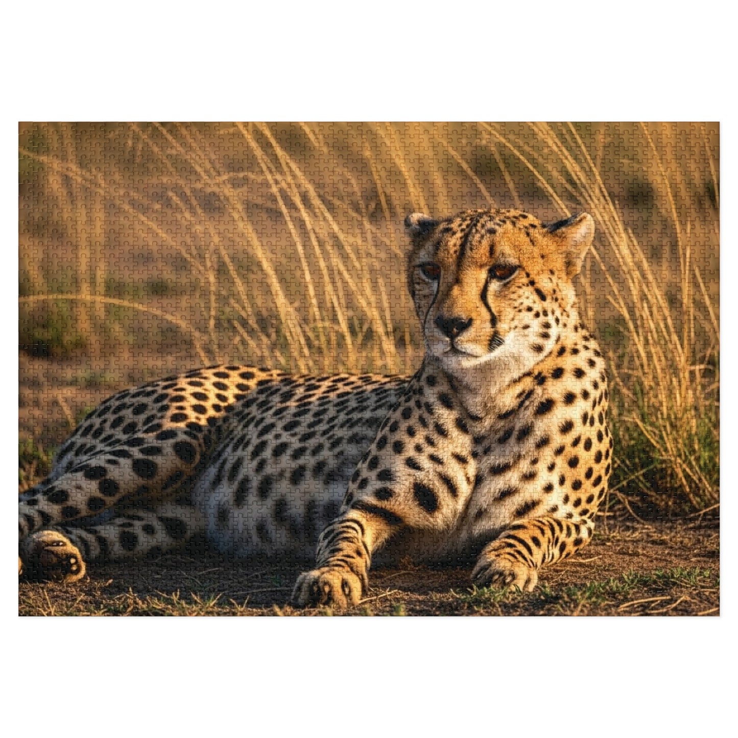 Cheetah Savannah Jigsaw Puzzle