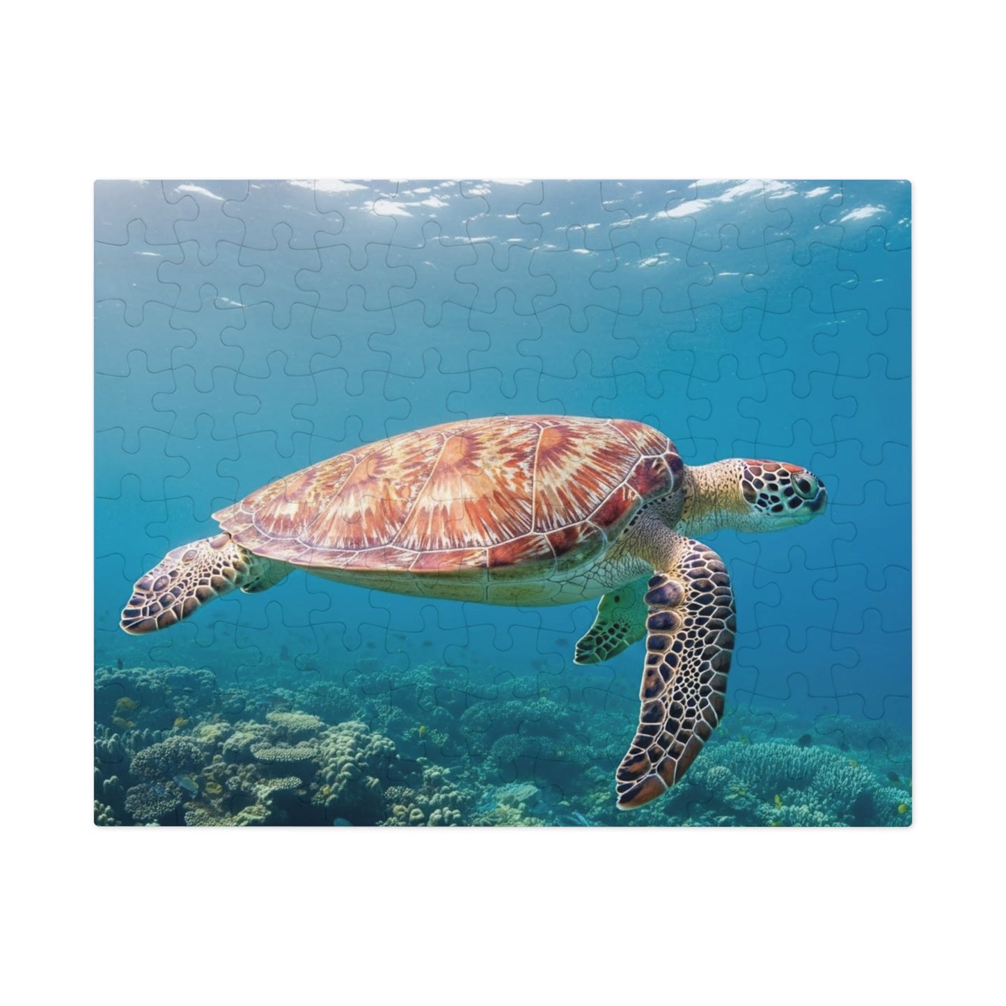 Sea Turtle Jigsaw Puzzle