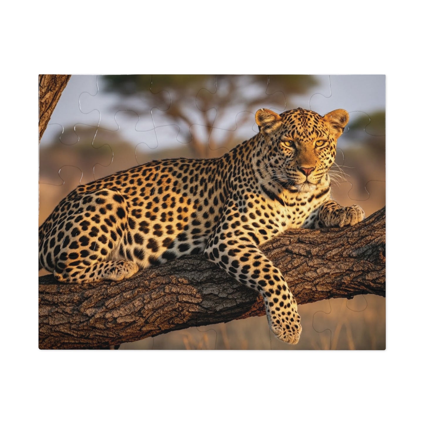 Leopard in Acacia Tree Jigsaw Puzzle