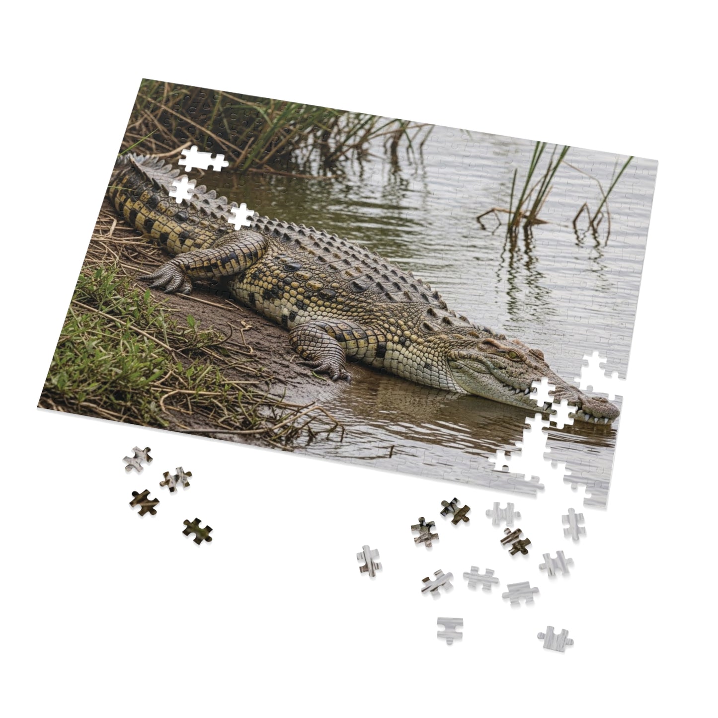 Crocodile Wildlife Jigsaw Puzzle