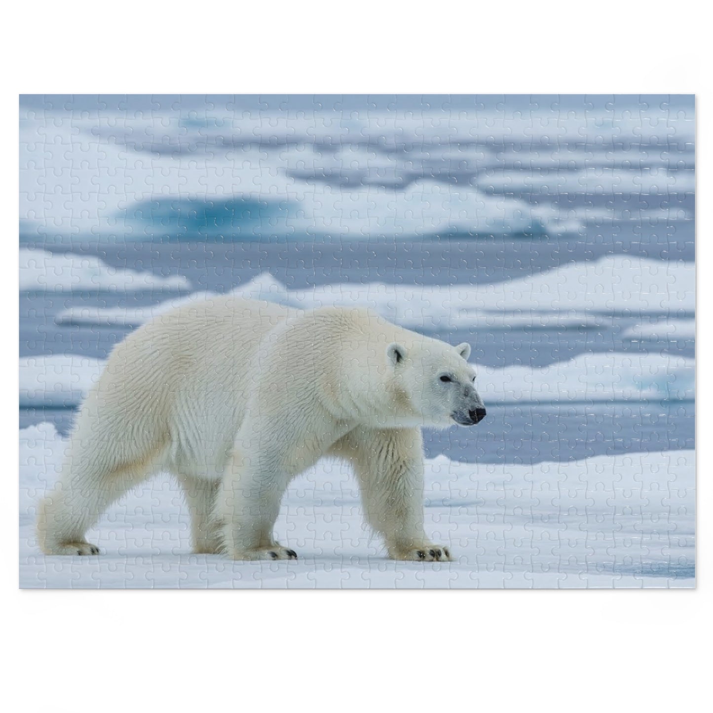 Polar Bear Arctic Jigsaw Puzzle