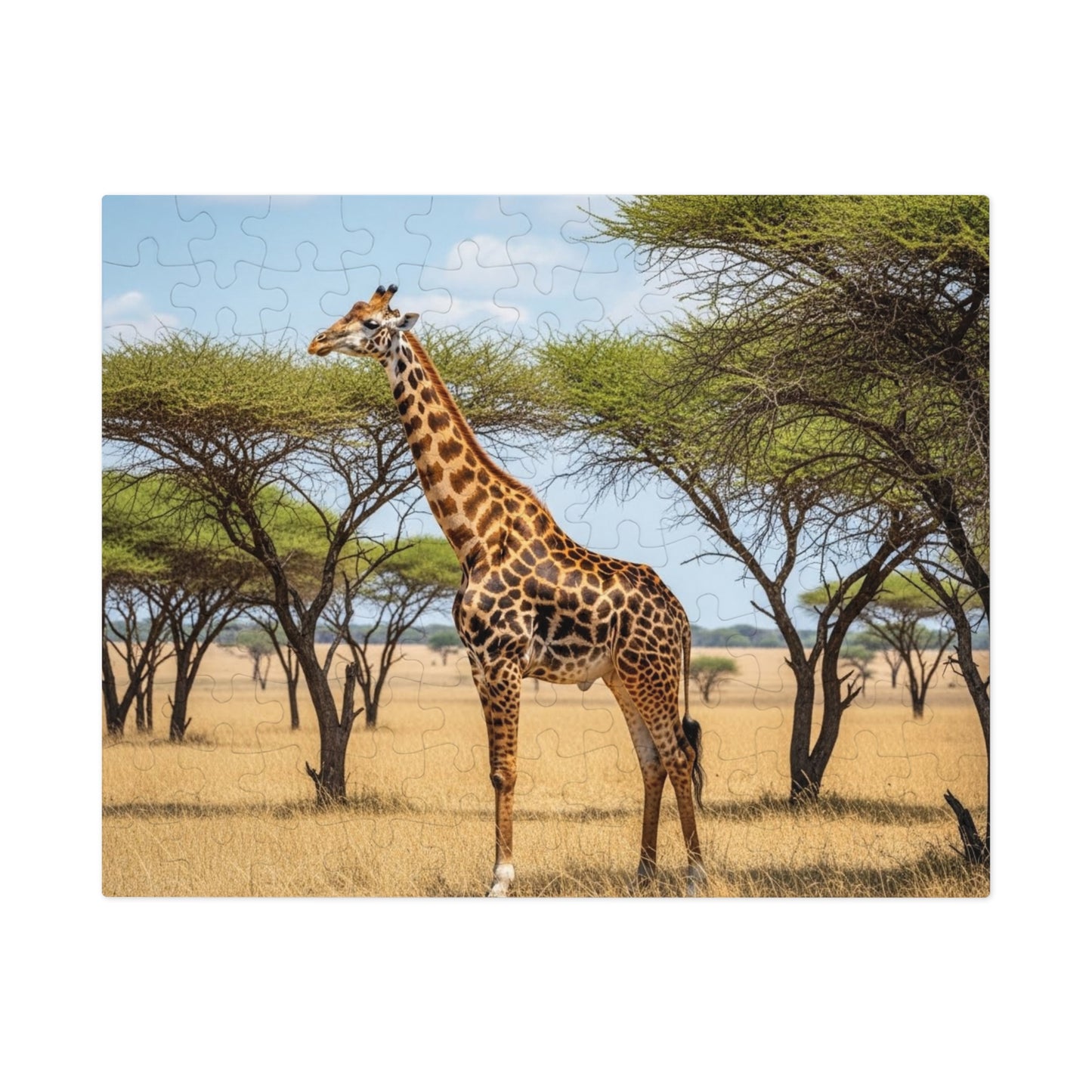 Giraffe Savannah Jigsaw Puzzle