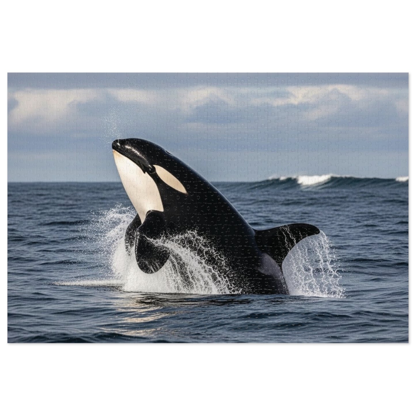 Orca Whale Jigsaw Puzzle — 500-Piece Ocean Puzzle with Tin Gift Box