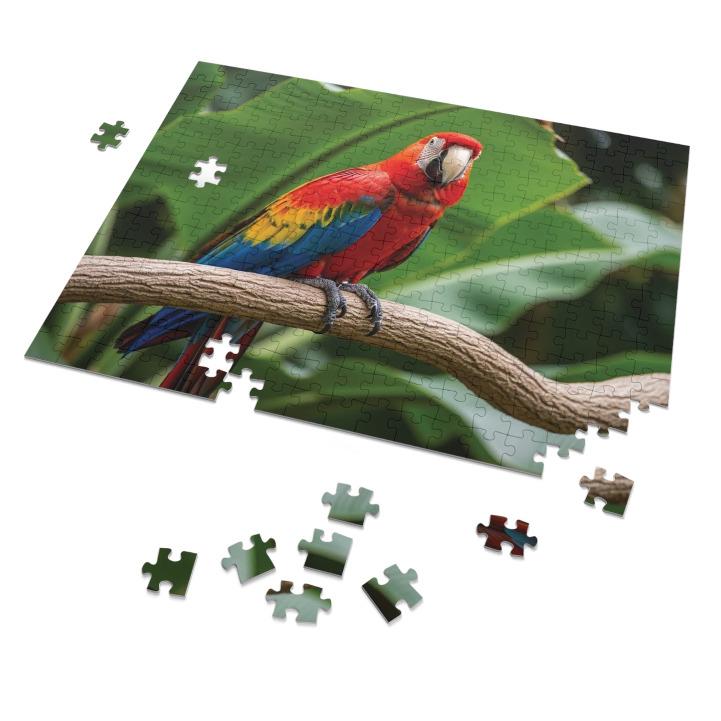 Macaw Parrot Jigsaw Puzzle