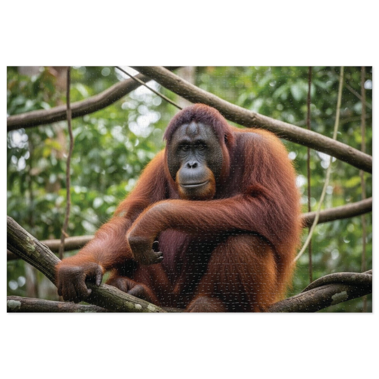 Orangutan Rainforest Serenity Jigsaw Puzzle | Majestic Wildlife Jungle Nature Scene