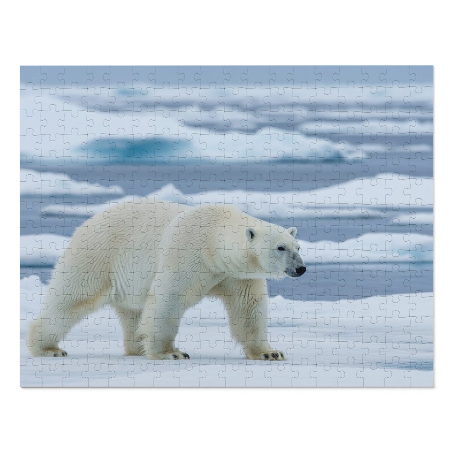 Polar Bear Arctic Jigsaw Puzzle