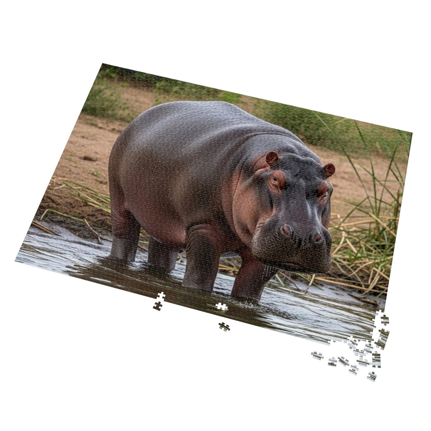 Hippopotamus Jigsaw Puzzle