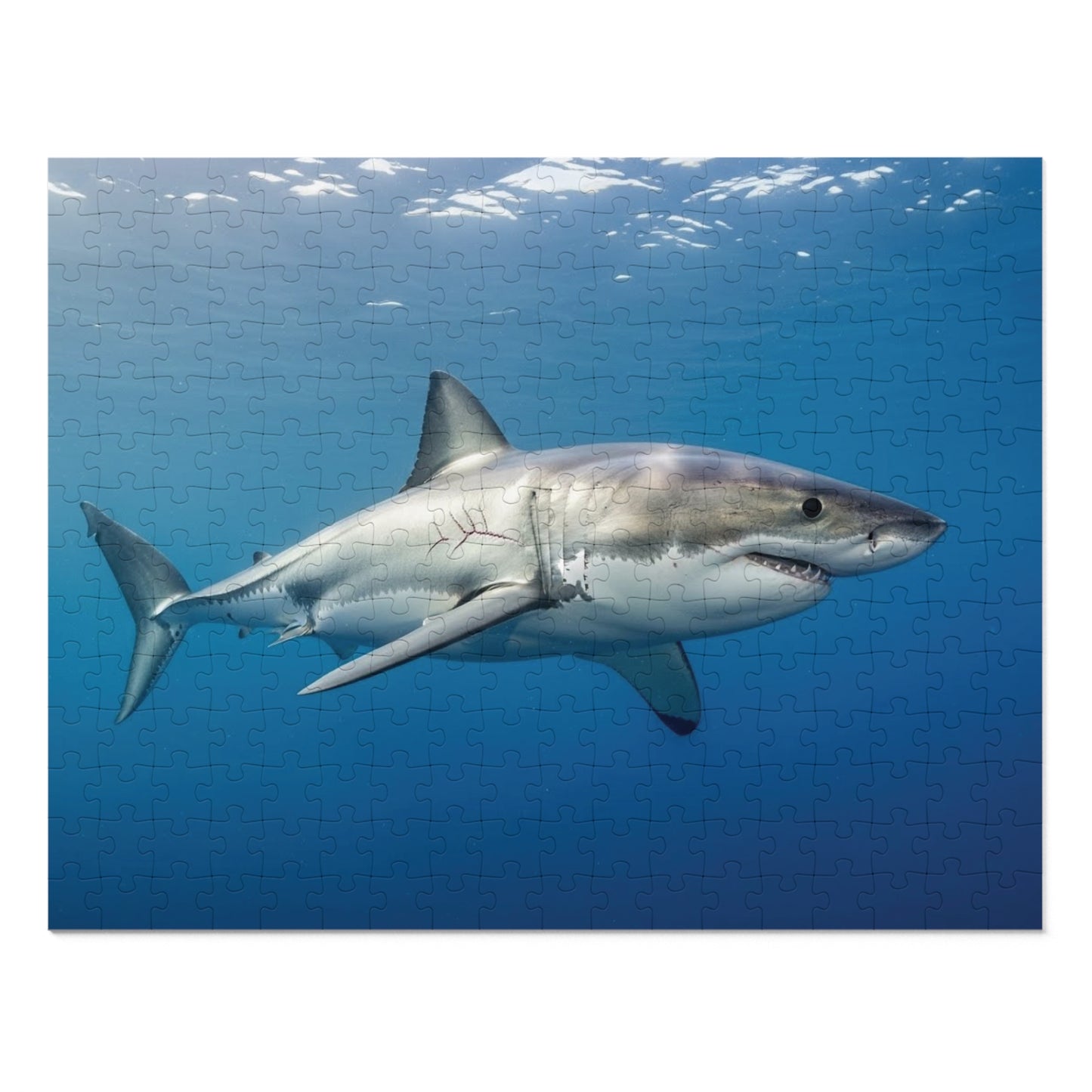 Great White Shark Jigsaw Puzzle — 500-Piece Ocean Puzzle with Tin Gift Box