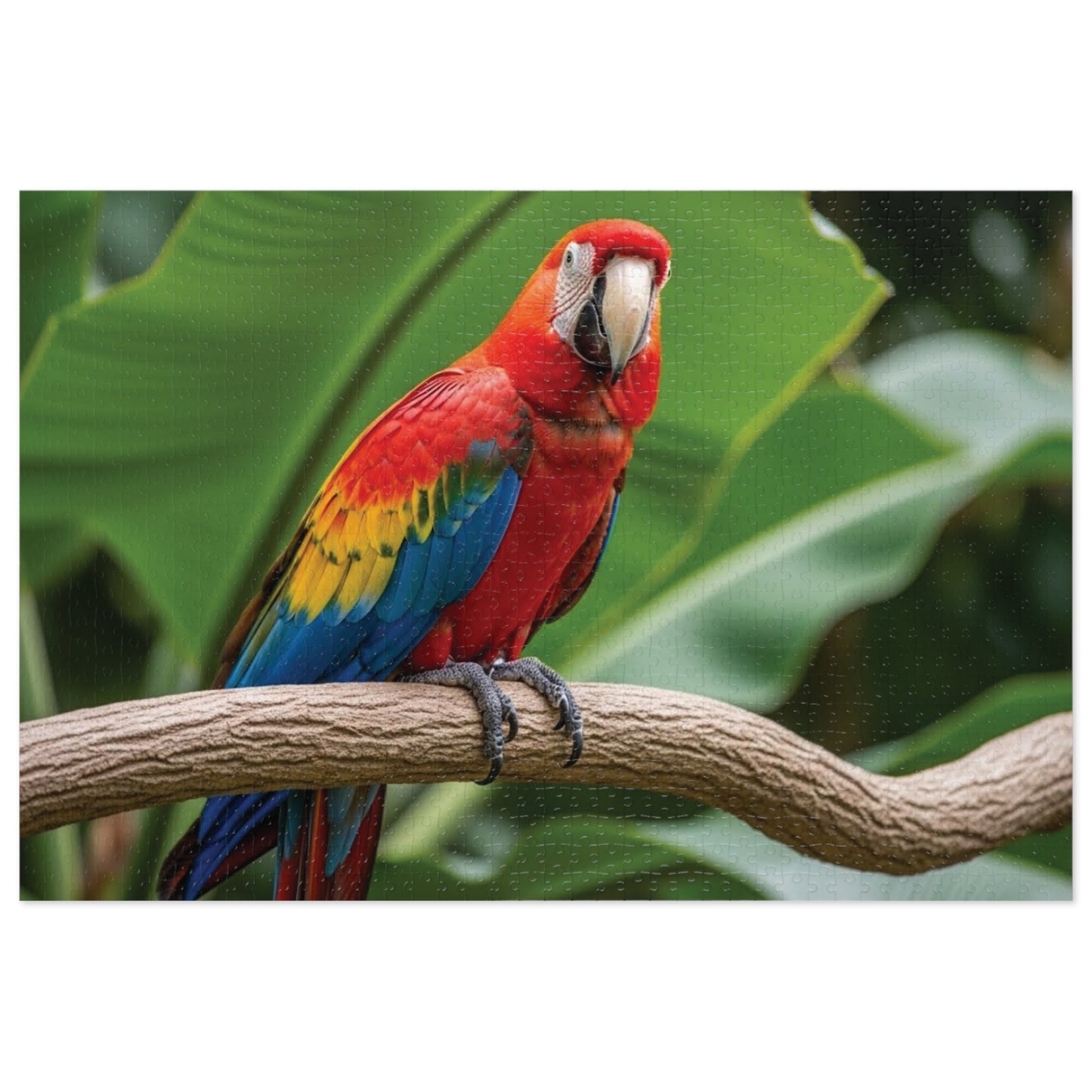 Macaw Parrot Jigsaw Puzzle