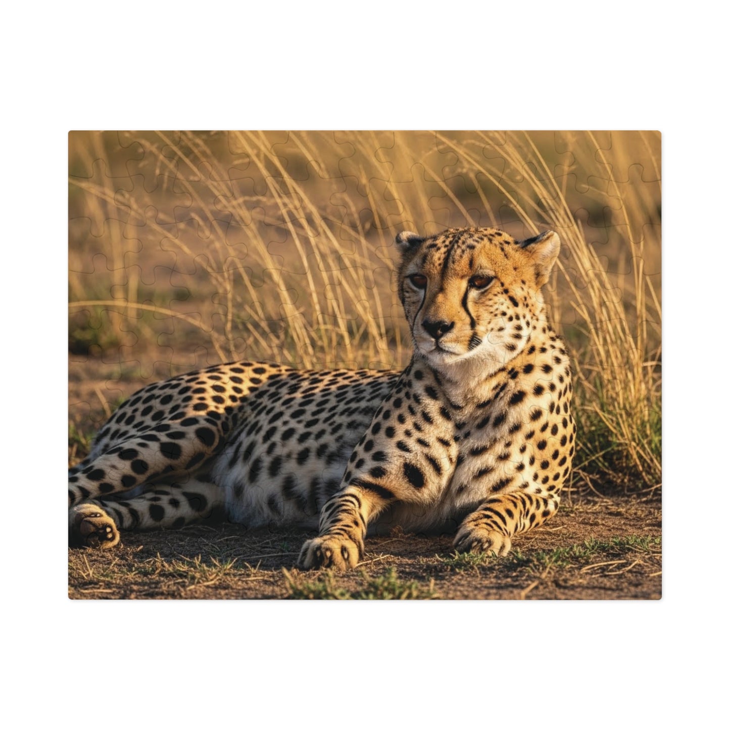 Cheetah Savannah Jigsaw Puzzle