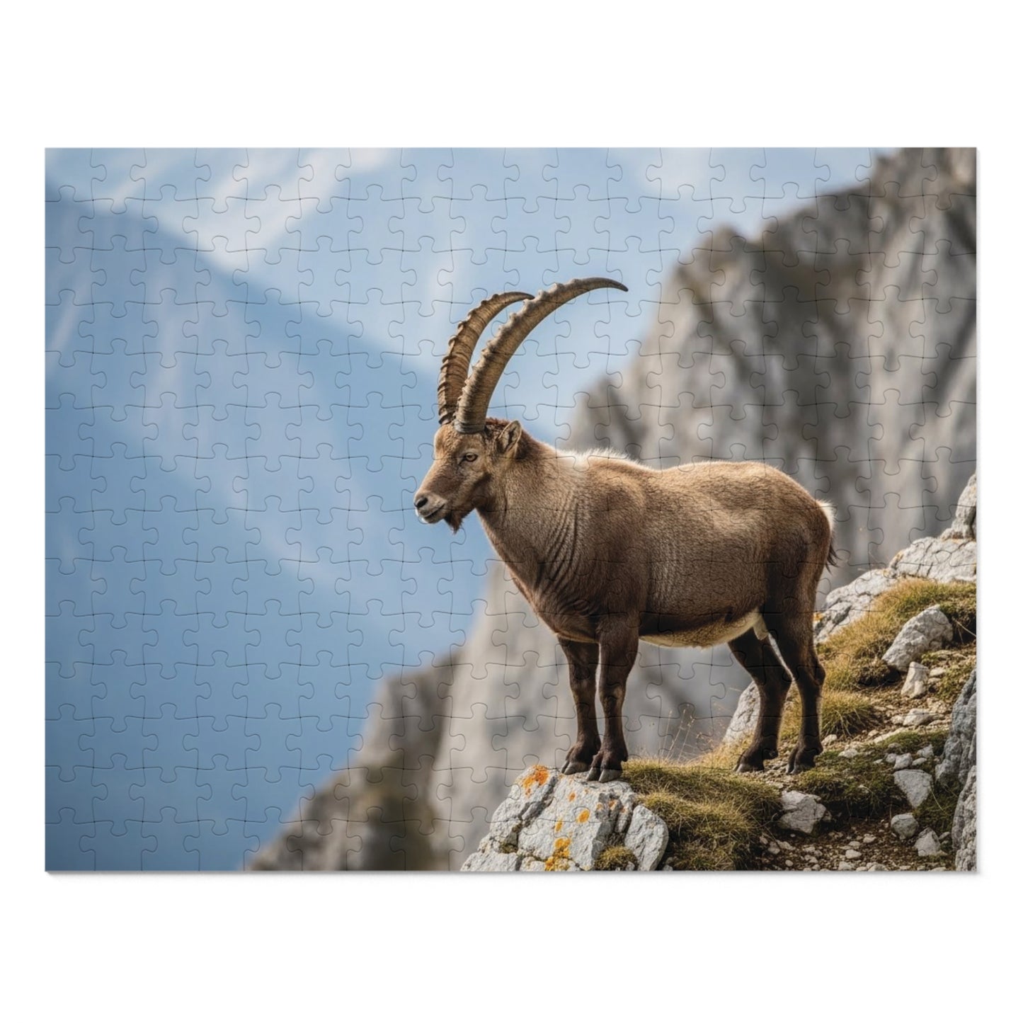 Alpine Ibex Scenic Jigsaw Puzzle (with Tin)