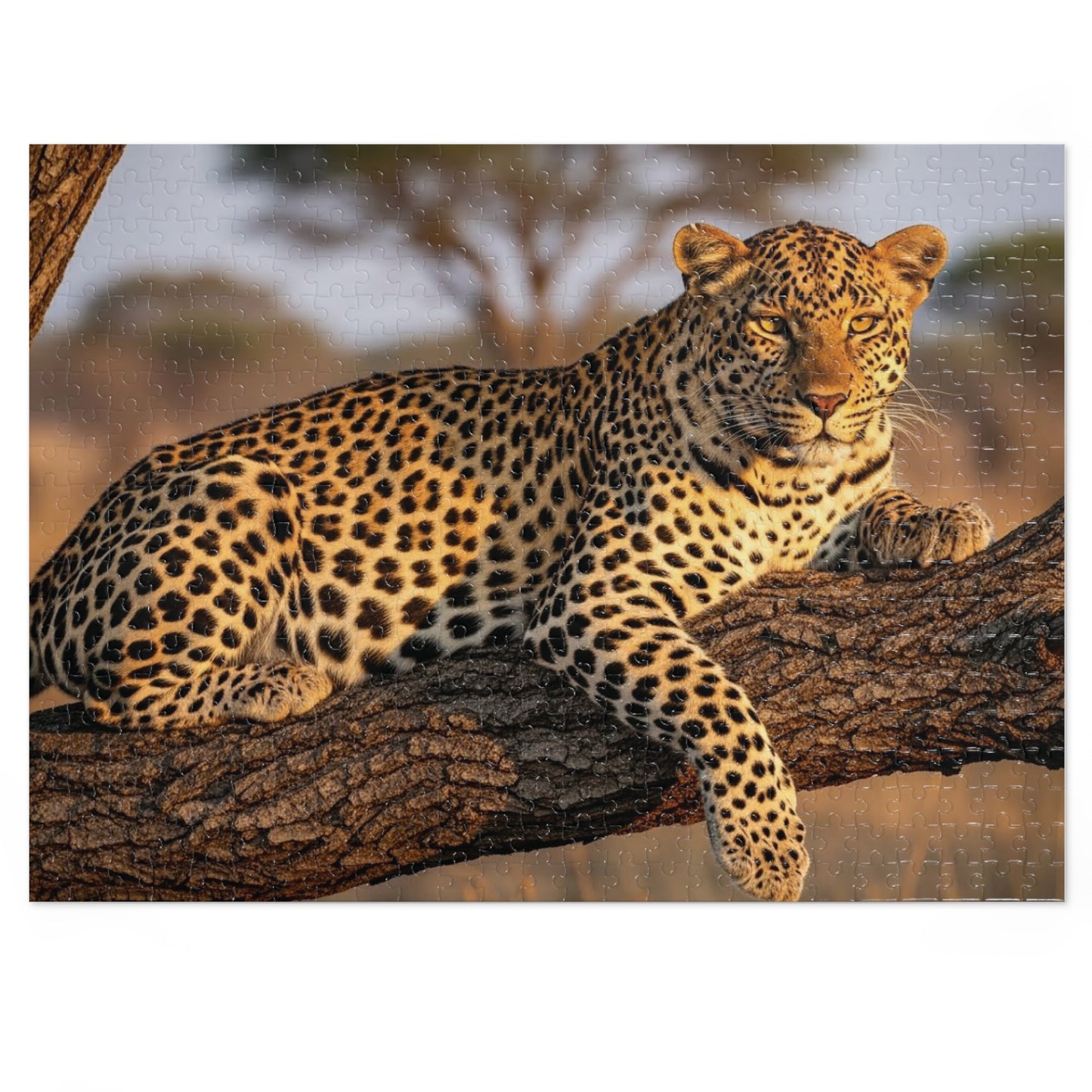 Leopard in Acacia Tree Jigsaw Puzzle
