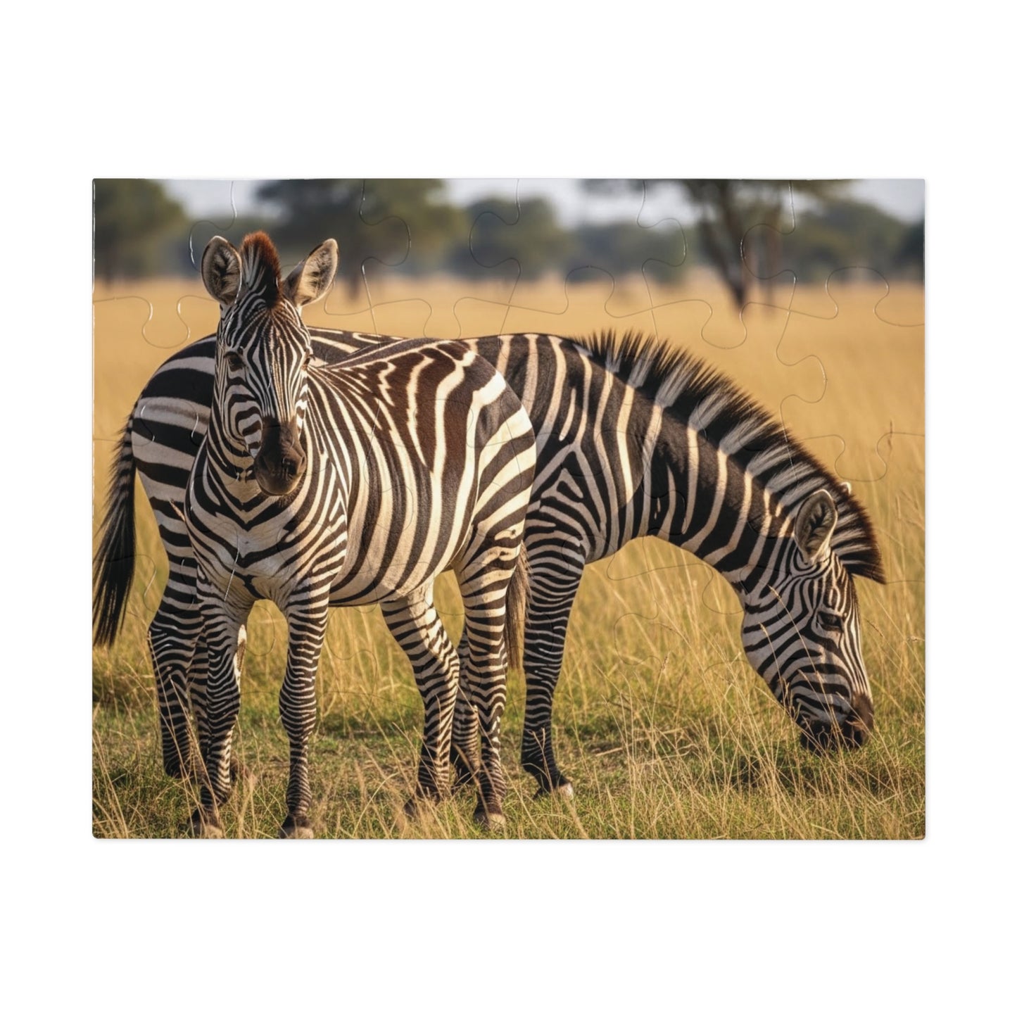 Zebra Savannah Jigsaw Puzzle African Wildlife Nature Grassland Art