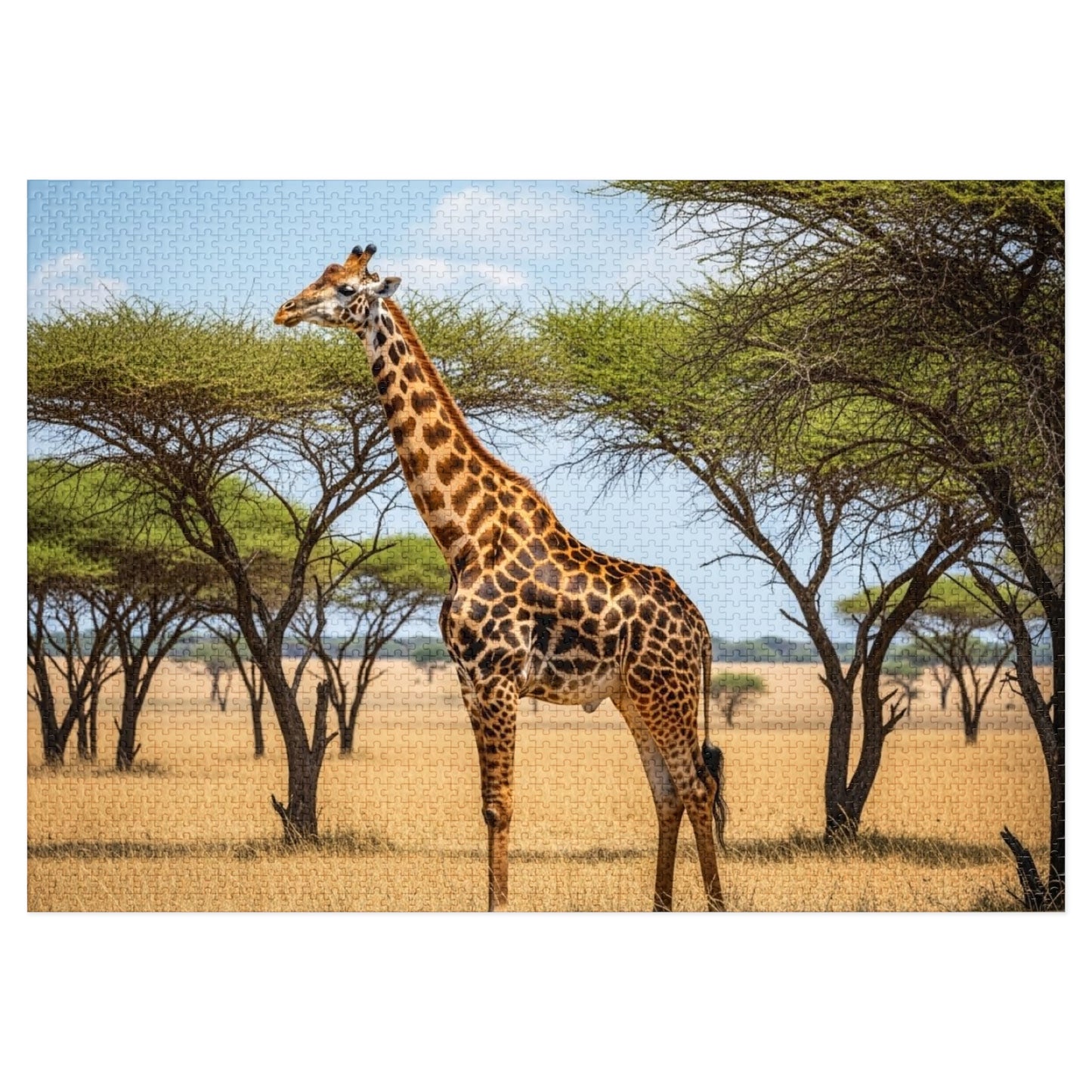 Giraffe Savannah Jigsaw Puzzle