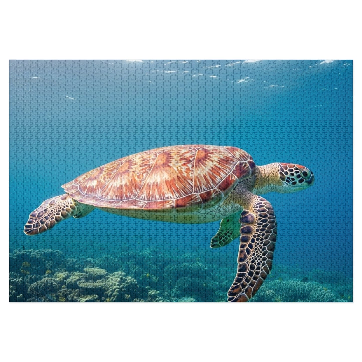 Sea Turtle Jigsaw Puzzle