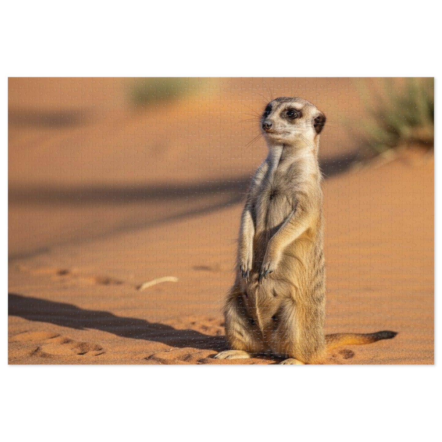 Meerkat Jigsaw Puzzle
