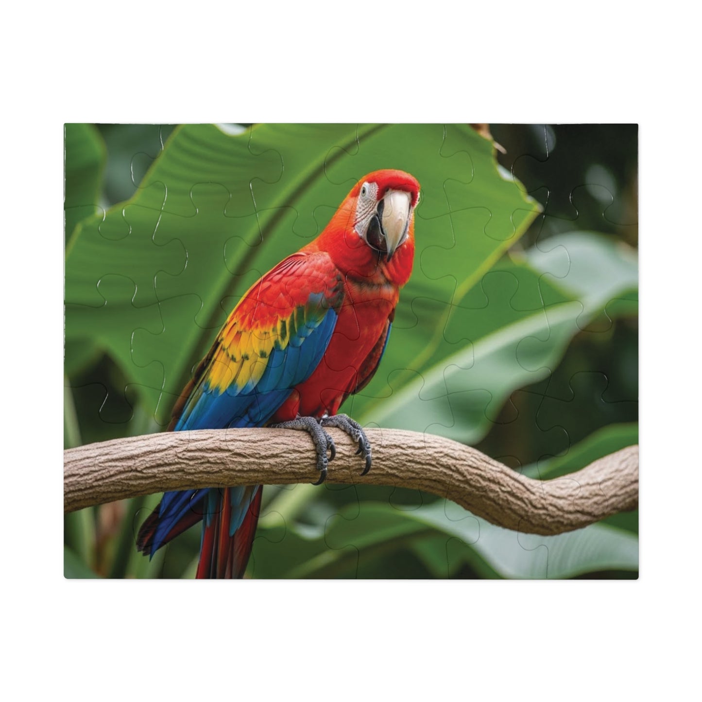 Macaw Parrot Jigsaw Puzzle