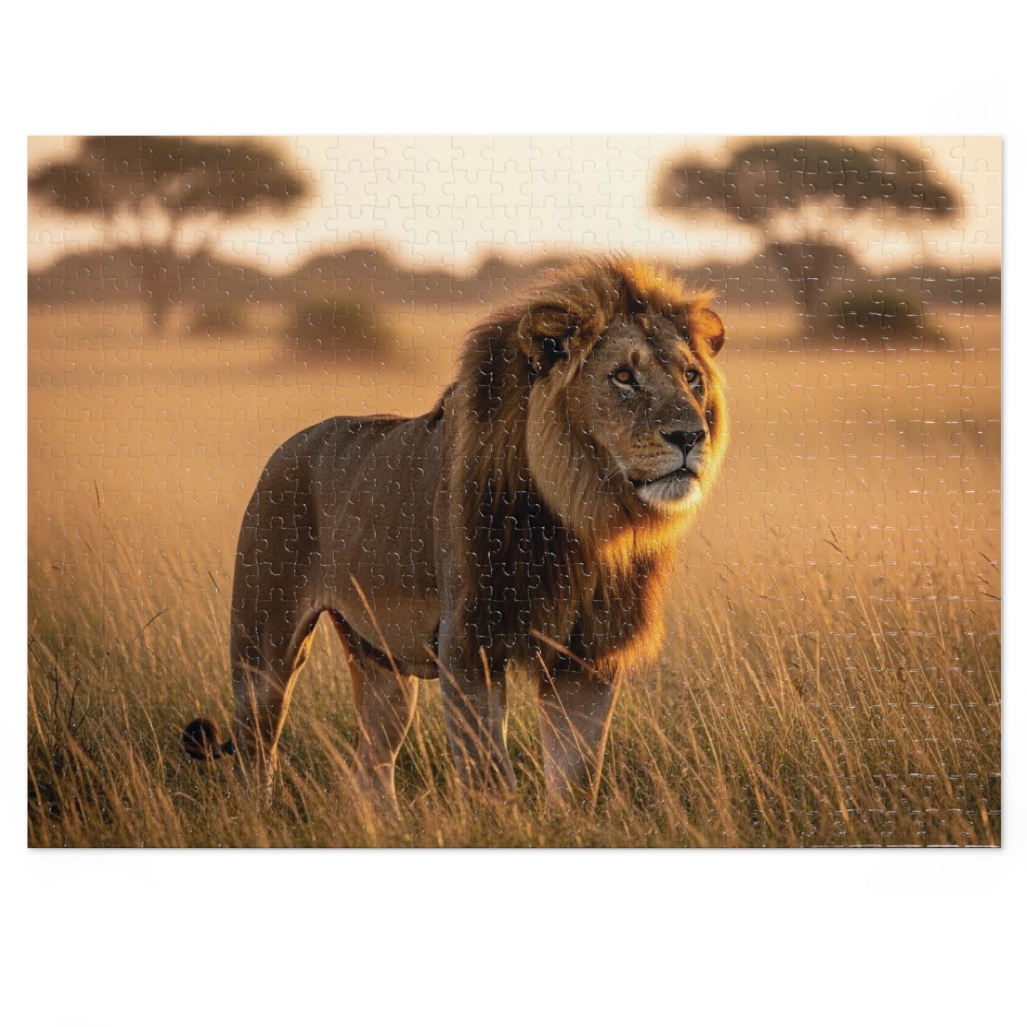 Lion in Golden Savanna Jigsaw Puzzle (with Tin)