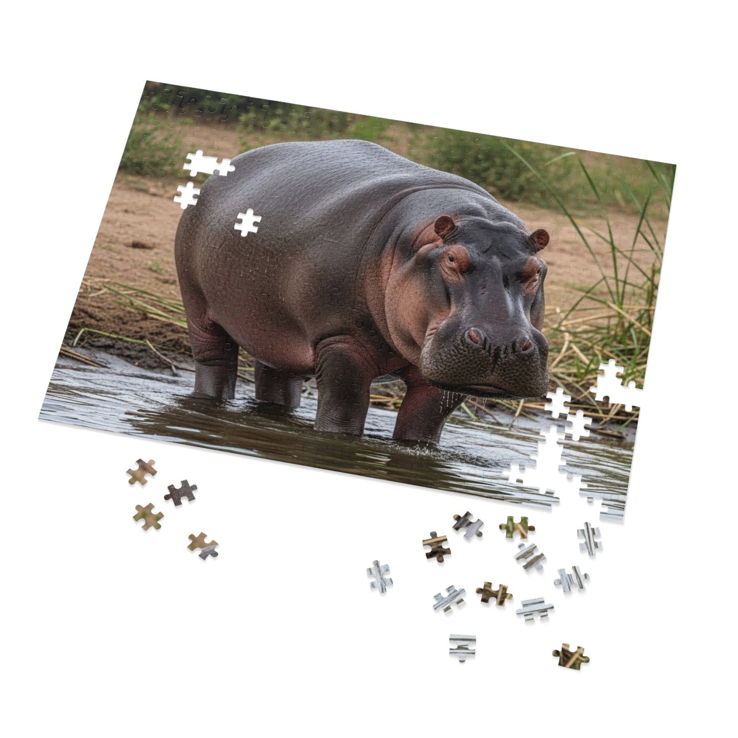 Hippopotamus Jigsaw Puzzle