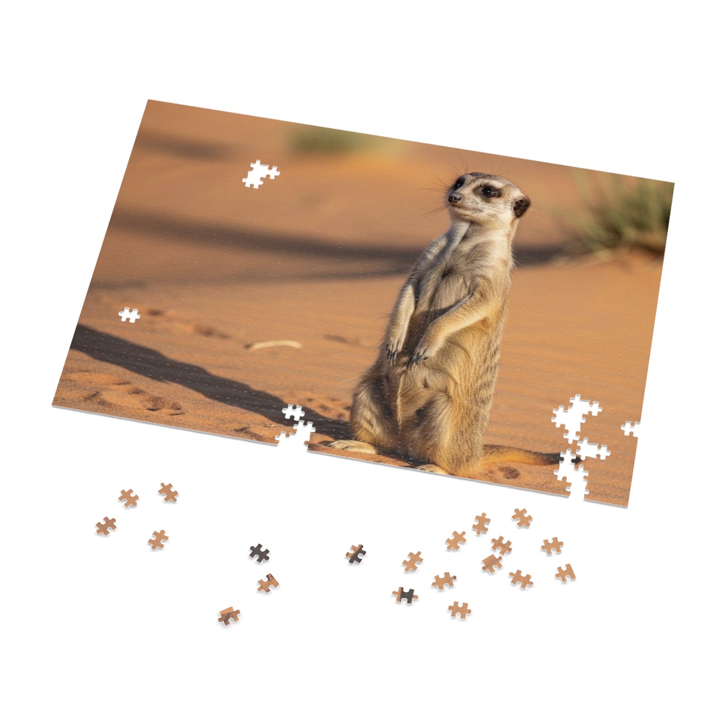 Meerkat Jigsaw Puzzle