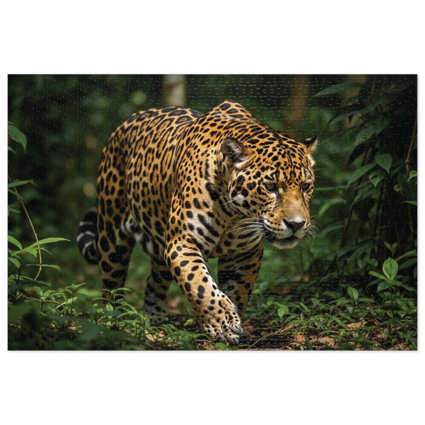 Jaguar in the Jungle Jigsaw Puzzle