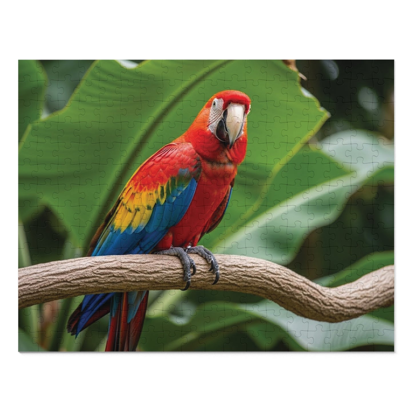 Macaw Parrot Jigsaw Puzzle