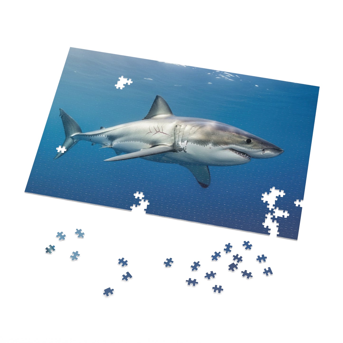 Great White Shark Jigsaw Puzzle — 500-Piece Ocean Puzzle with Tin Gift Box