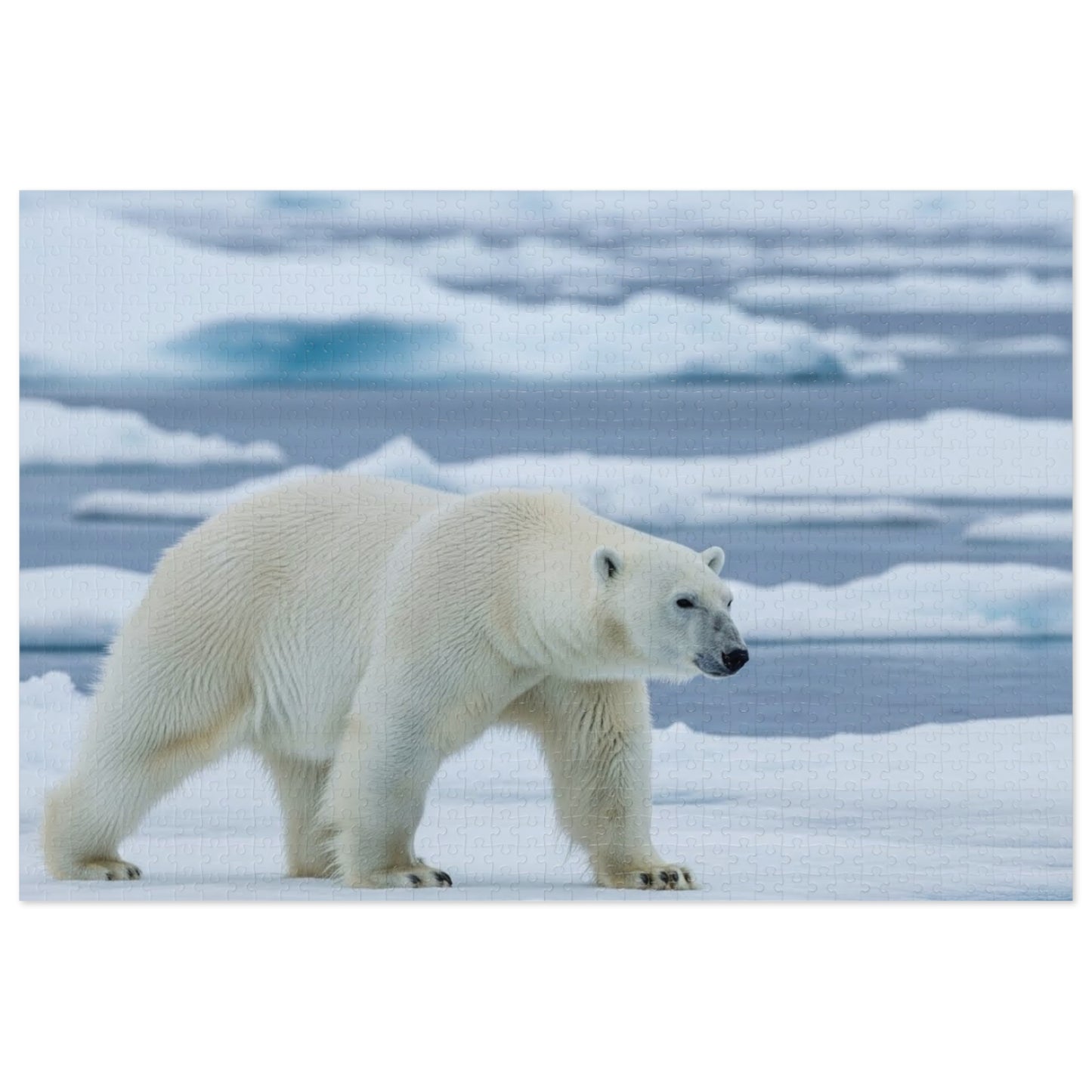 Polar Bear Arctic Jigsaw Puzzle