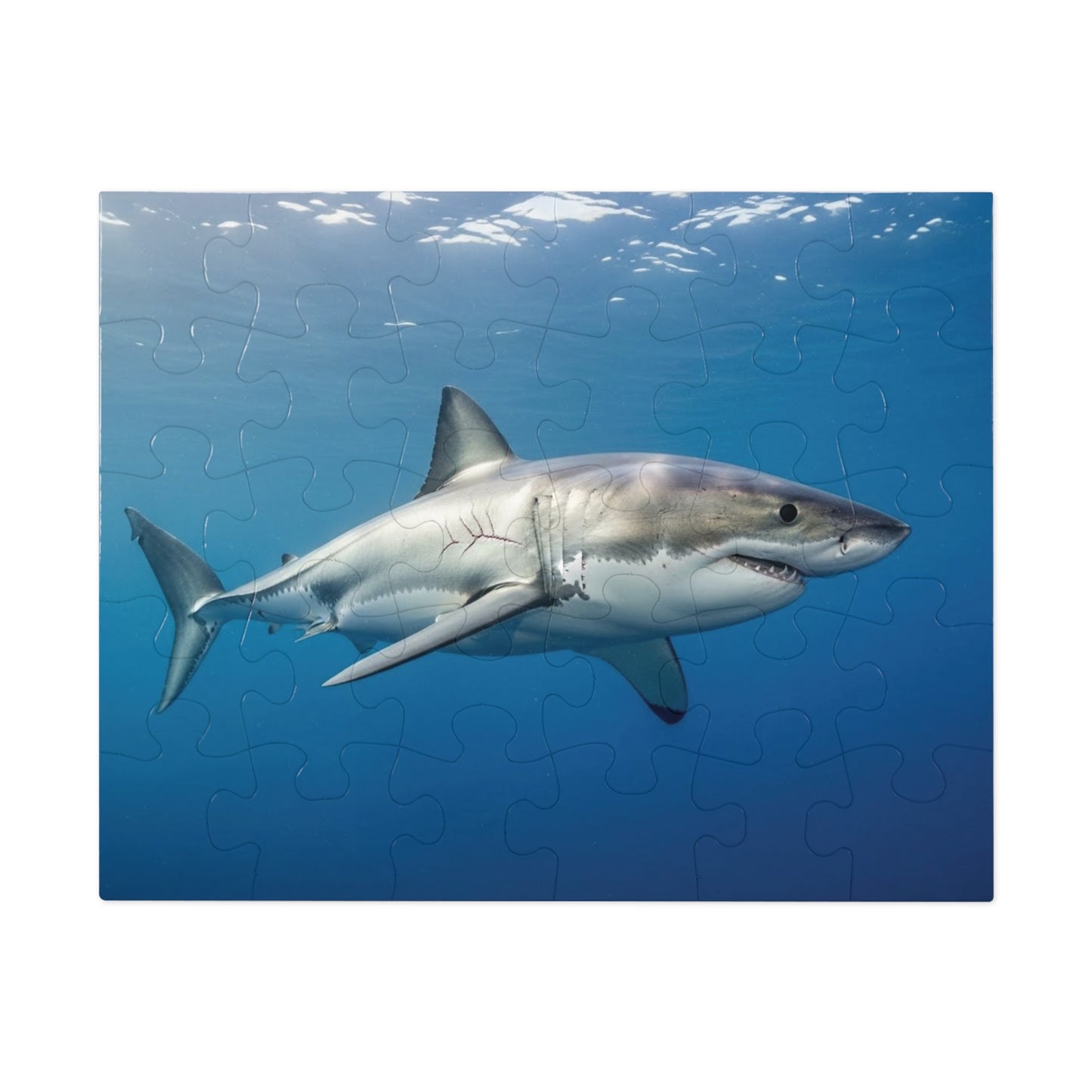 Great White Shark Jigsaw Puzzle — 500-Piece Ocean Puzzle with Tin Gift Box