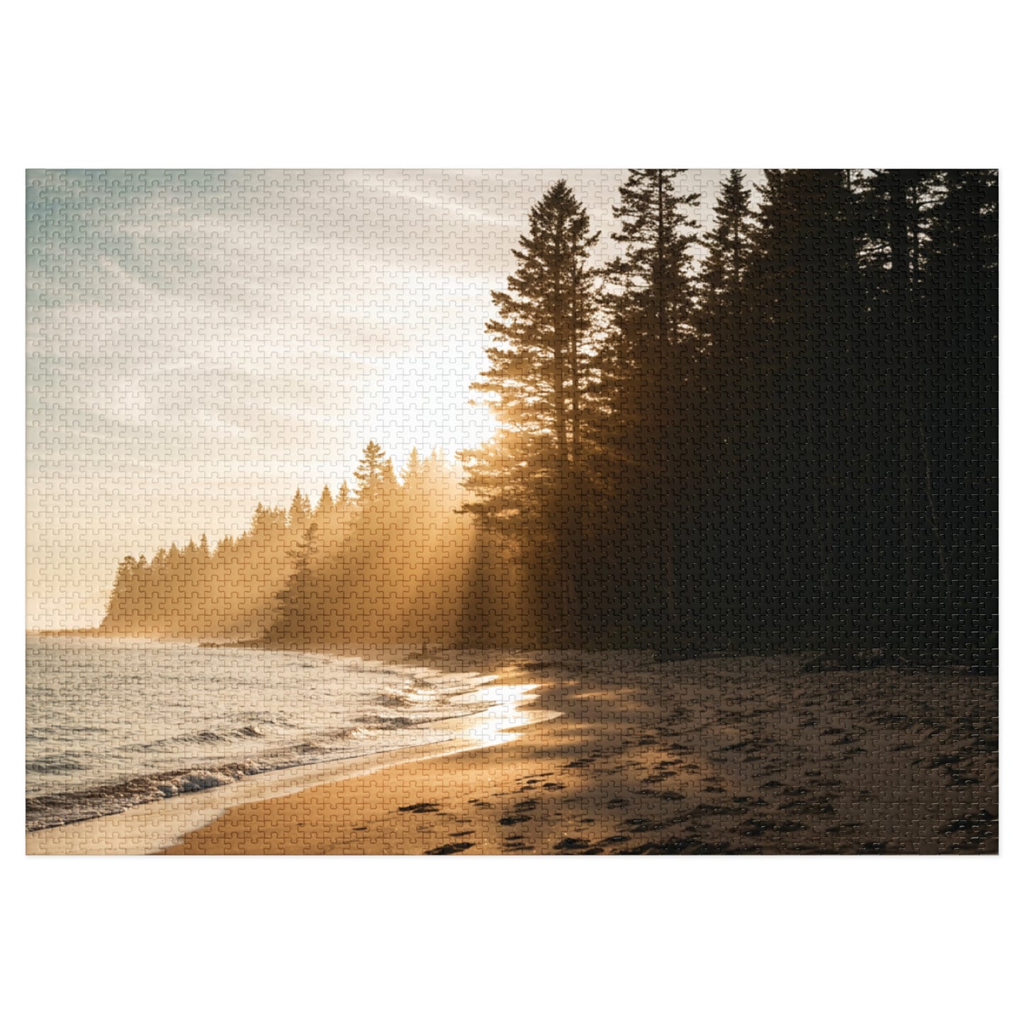Forest Beach Sunset Jigsaw Puzzle (252–2000 pcs),  Warm Sunset, Trees & Sand Path, Forest Coastline and Sunbeams, Premium Tin Gift,  Footprints in Sand