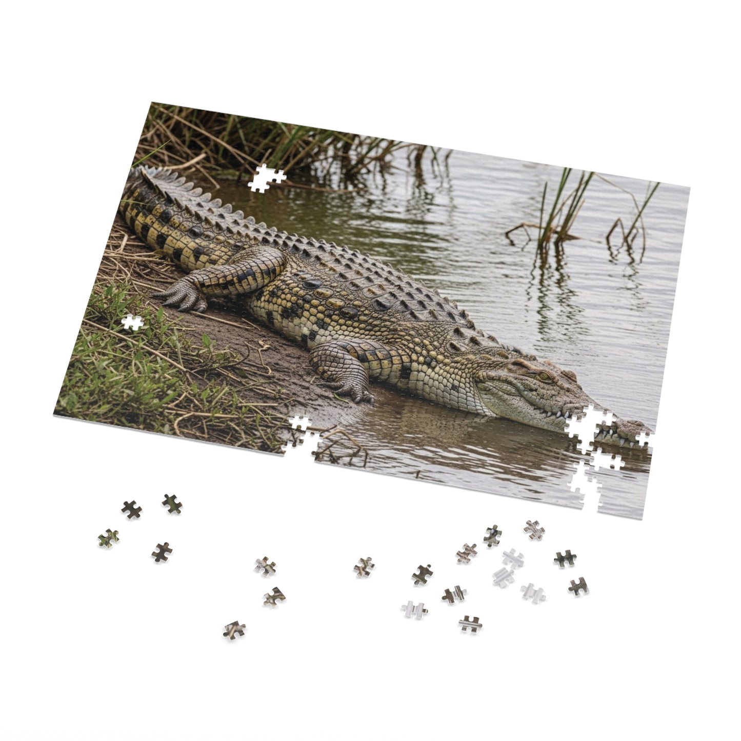 Crocodile Wildlife Jigsaw Puzzle
