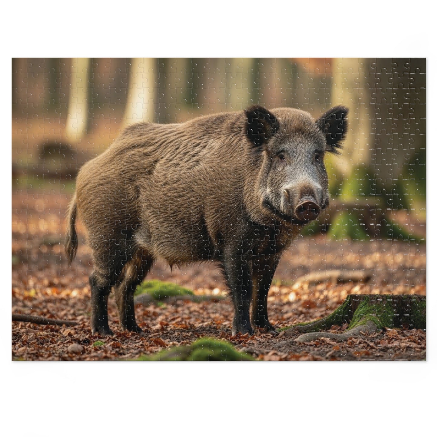 Wild Boar Jigsaw Puzzle