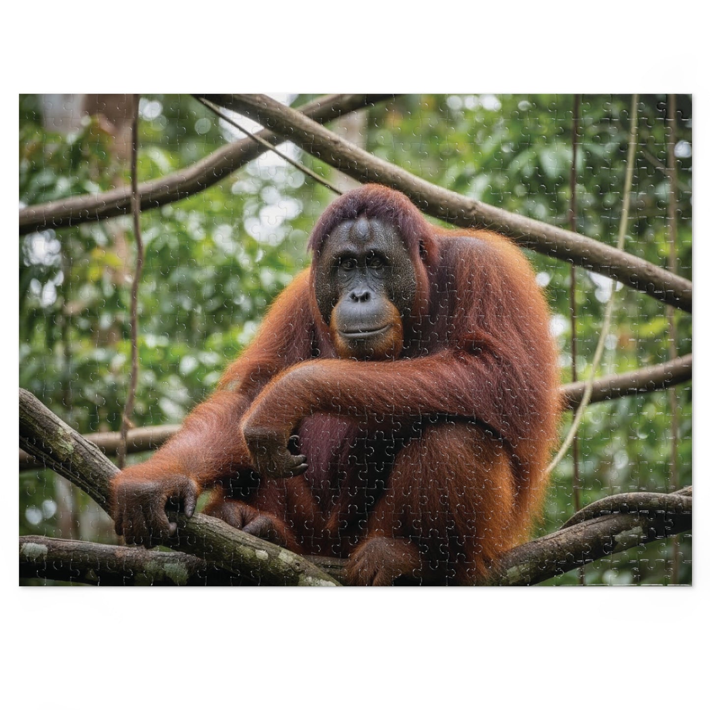 Orangutan Rainforest Serenity Jigsaw Puzzle | Majestic Wildlife Jungle Nature Scene