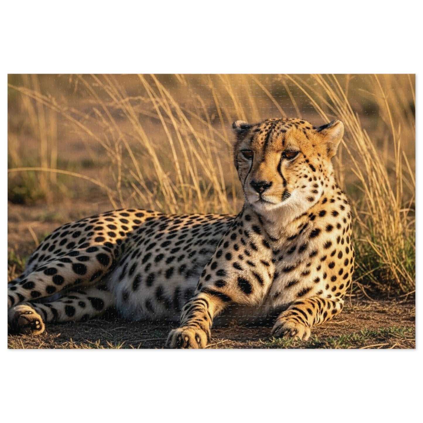 Cheetah Savannah Jigsaw Puzzle