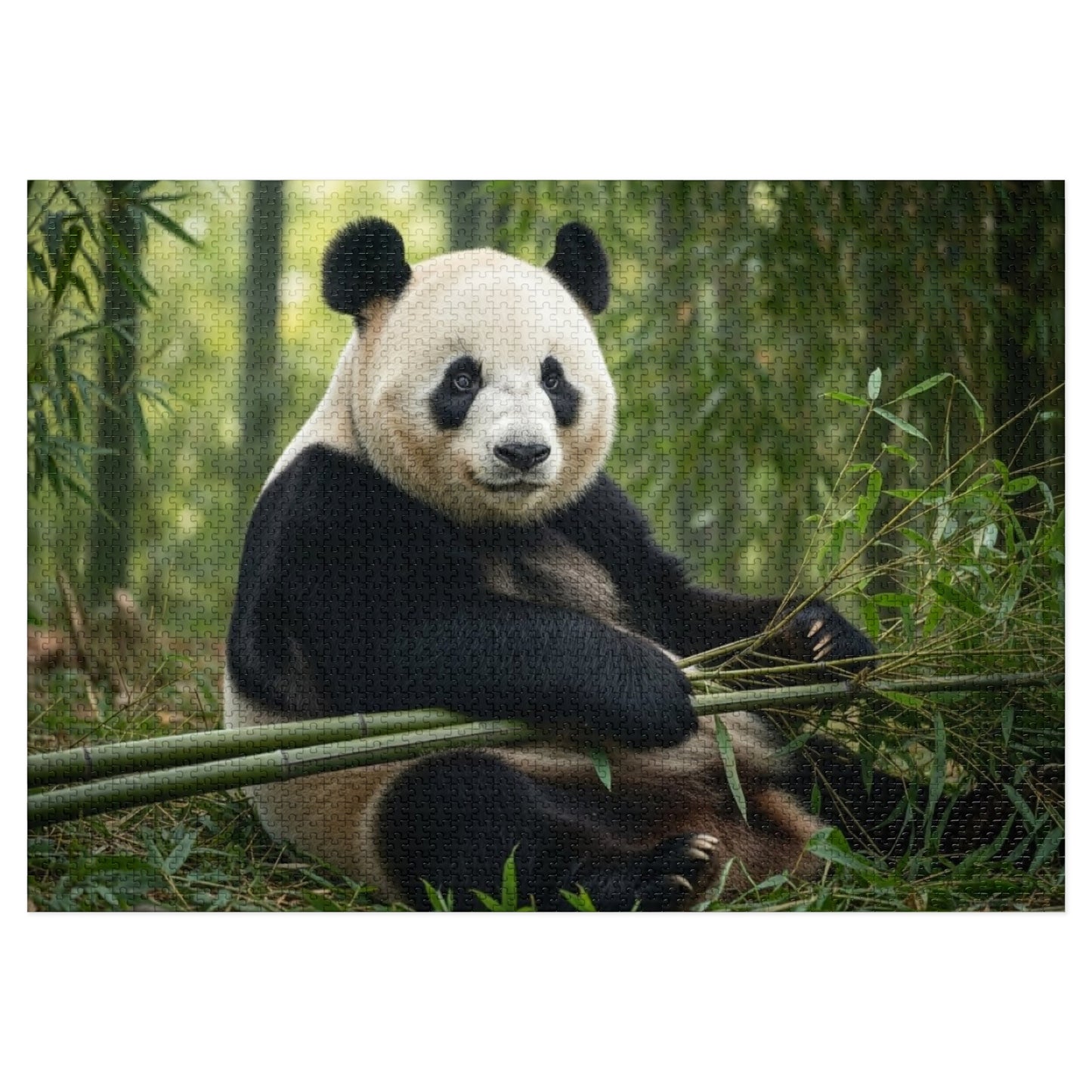 Panda Jigsaw Puzzle