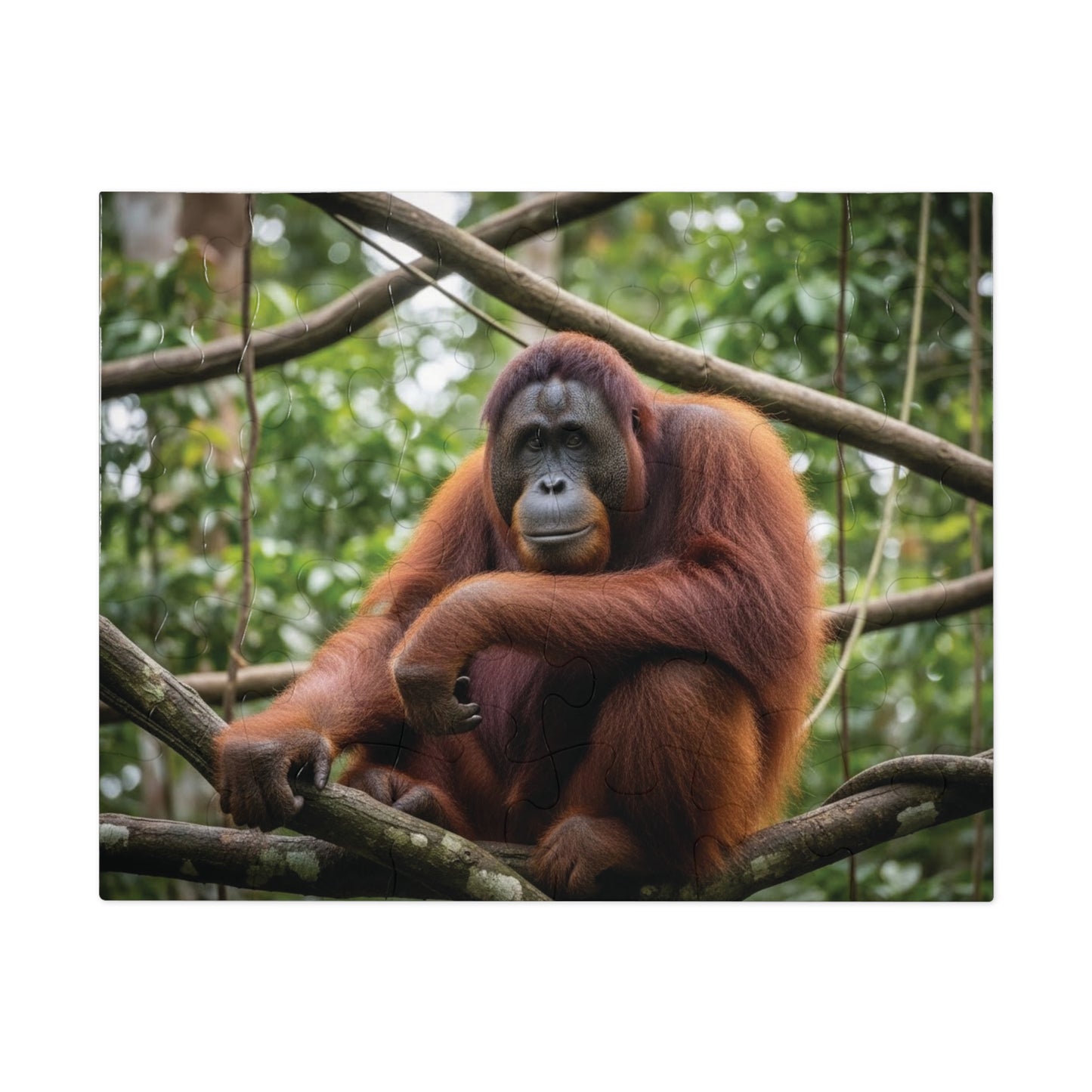 Orangutan Rainforest Serenity Jigsaw Puzzle | Majestic Wildlife Jungle Nature Scene