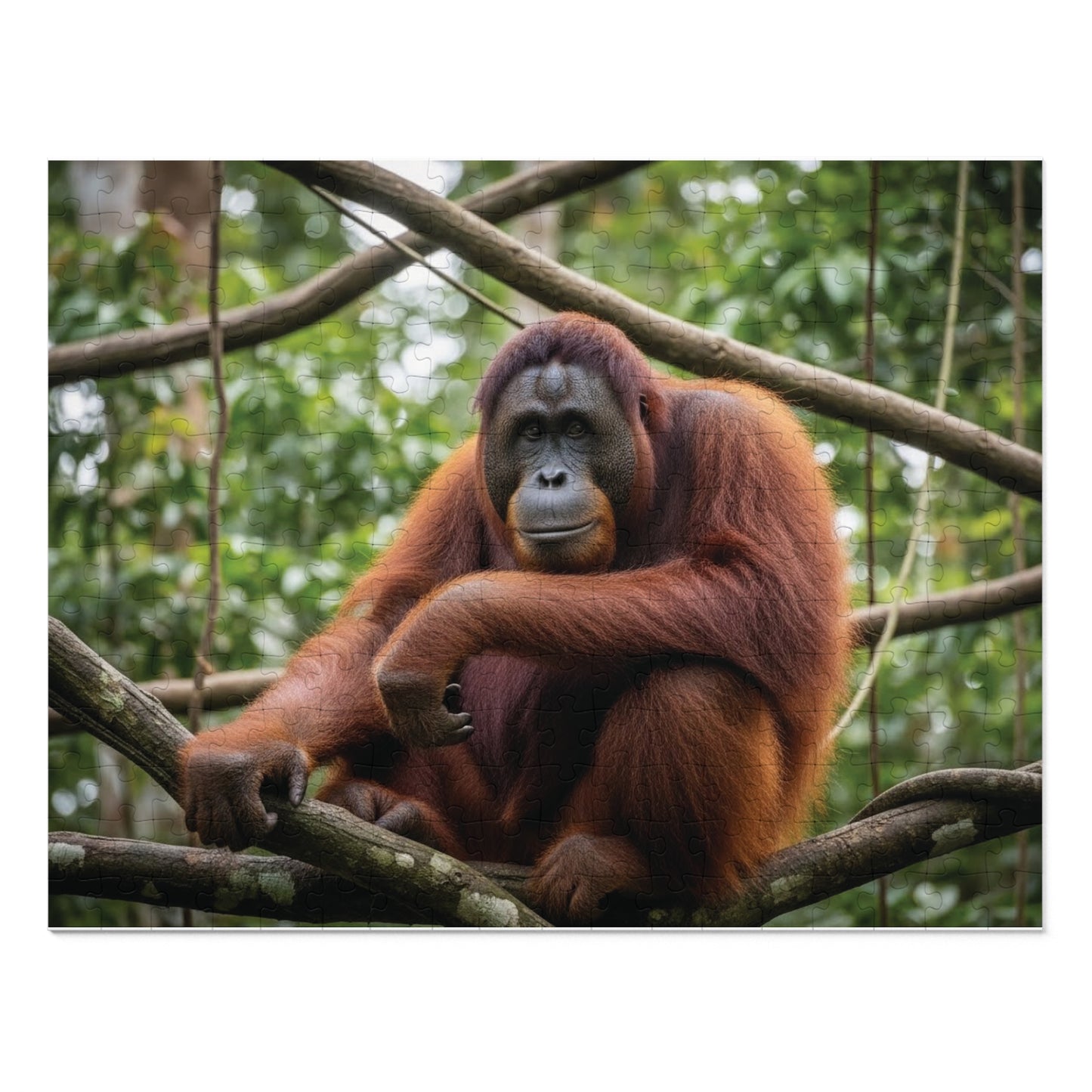 Orangutan Rainforest Serenity Jigsaw Puzzle | Majestic Wildlife Jungle Nature Scene